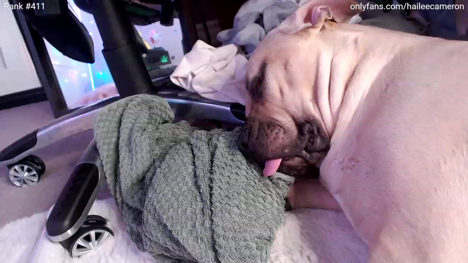 Gallery image thumbnail from HaileeCameron's myfreecams stream on, 12/31/2023, 09:13 image 20 of 20