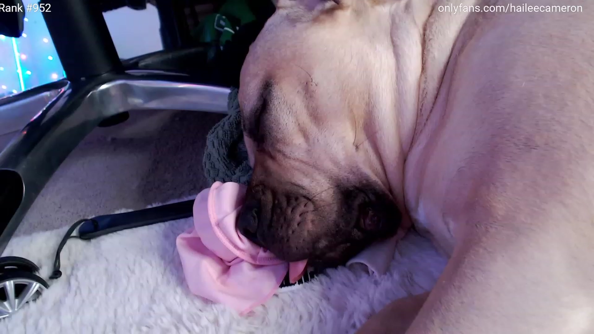 Gallery image thumbnail from HaileeCameron's myfreecams stream on, 01/05/2024, 08:04 image 20 of 20
