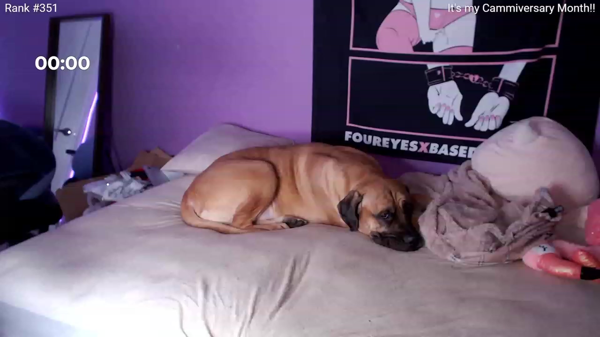 Gallery image thumbnail from HaileeCameron's myfreecams stream on, 02/11/2024, 09:17 image 16 of 20