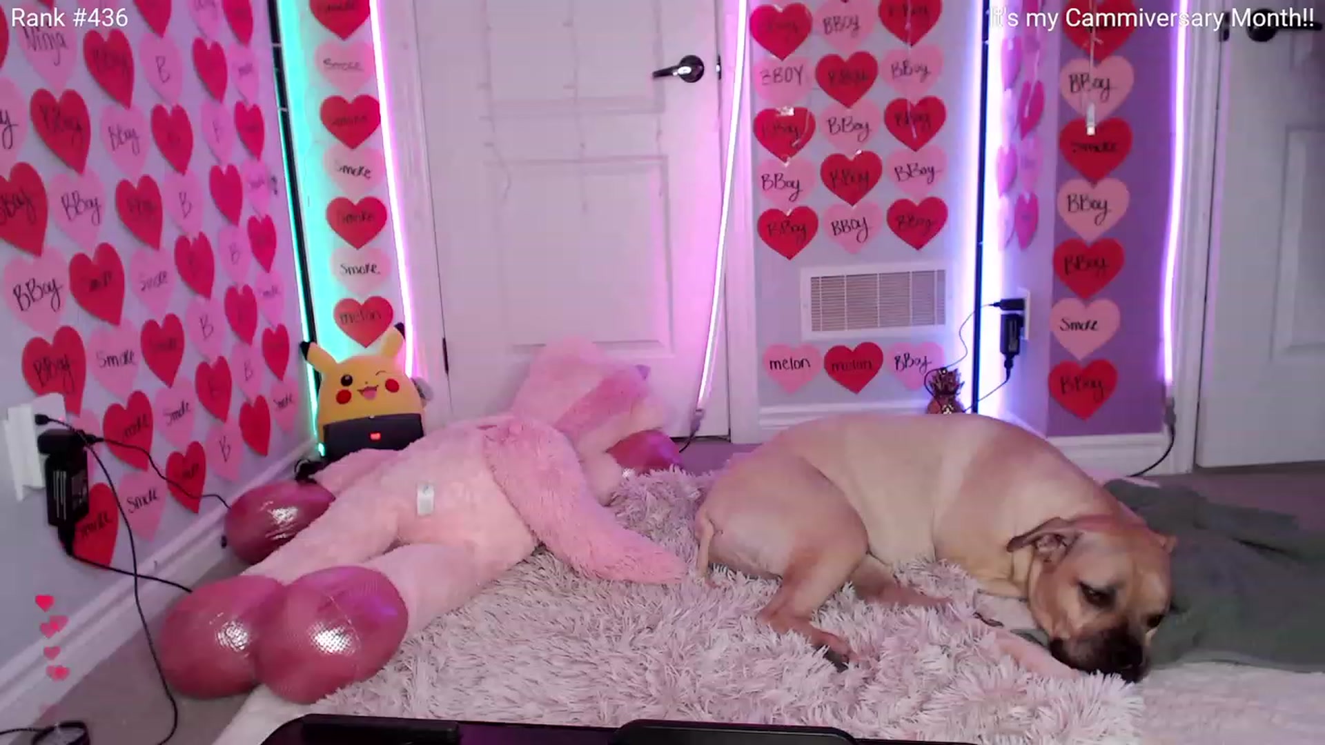 Gallery image thumbnail from HaileeCameron's myfreecams stream on, 02/15/2024, 05:28 image 1 of 20