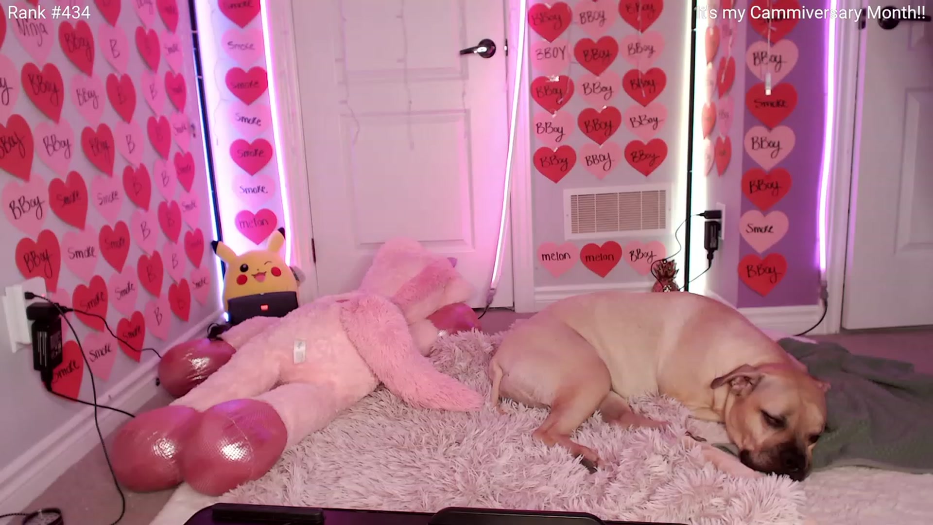 Gallery image thumbnail from HaileeCameron's myfreecams stream on, 02/15/2024, 05:28 image 2 of 20