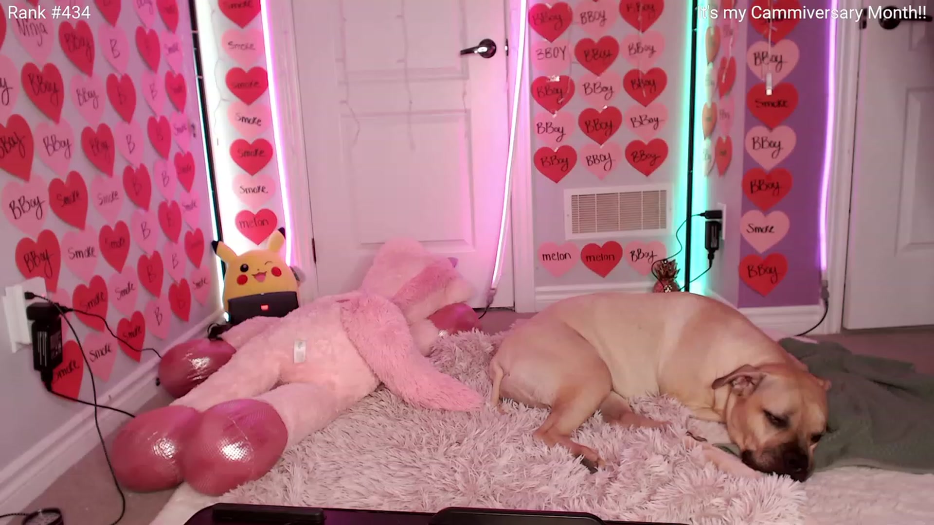 Gallery image thumbnail from HaileeCameron's myfreecams stream on, 02/15/2024, 05:28 image 3 of 20