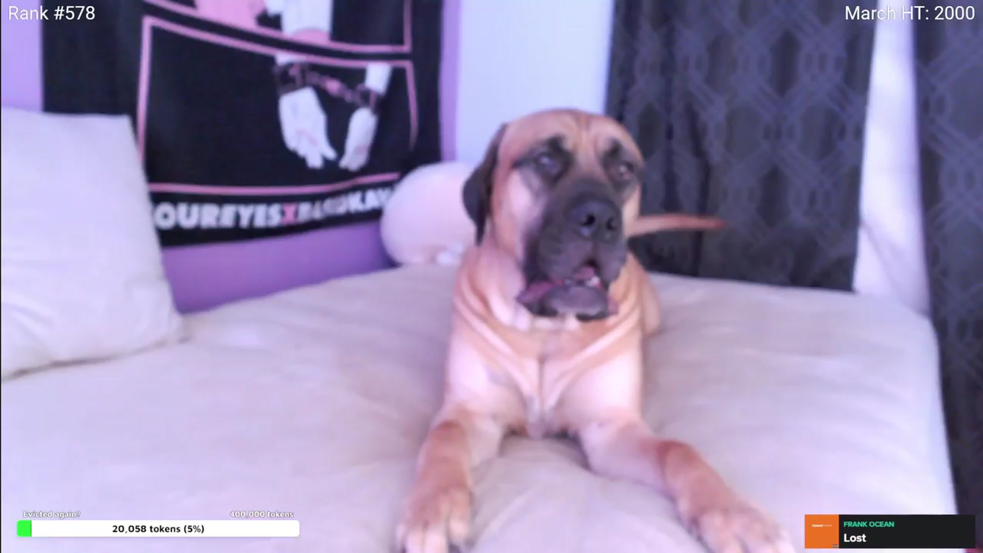 Gallery image thumbnail from HaileeCameron's myfreecams stream on, 03/23/2024, 07:15 image 15 of 20