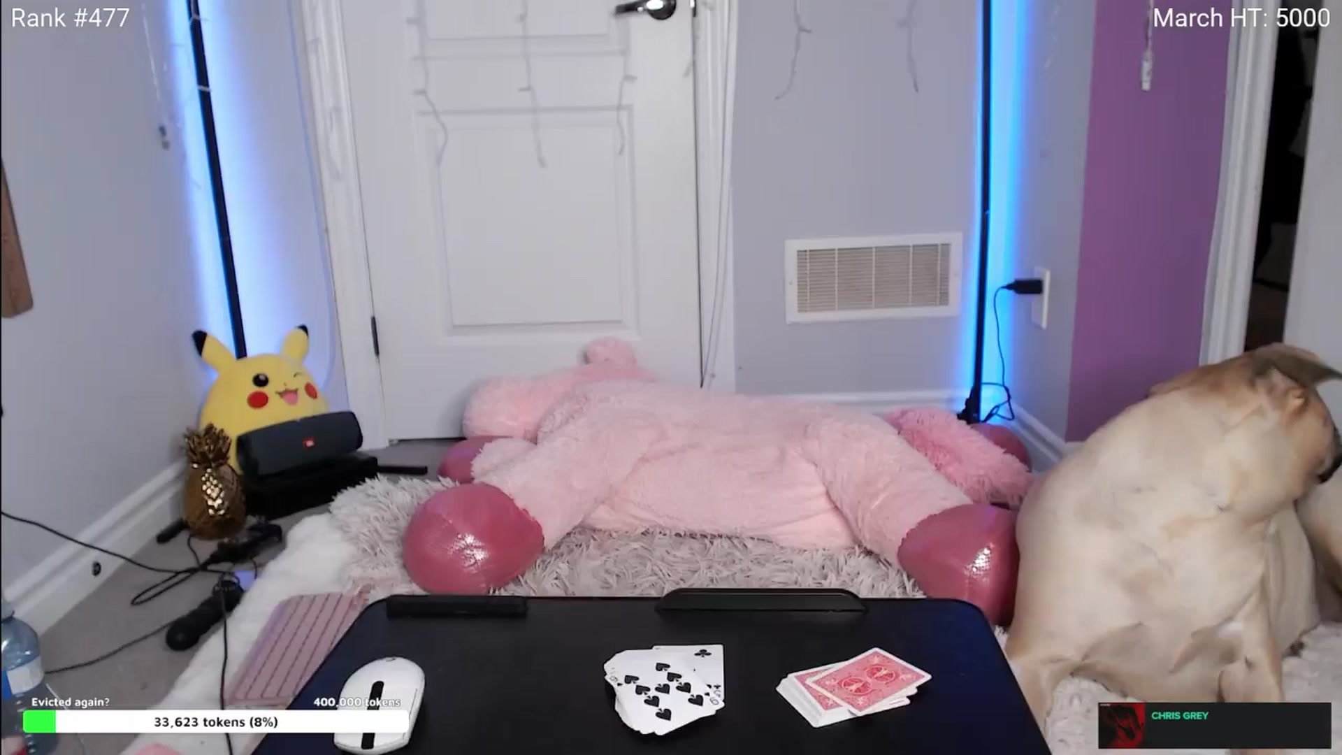 Gallery image thumbnail from HaileeCameron's myfreecams stream on, 03/31/2024, 08:07 image 16 of 20