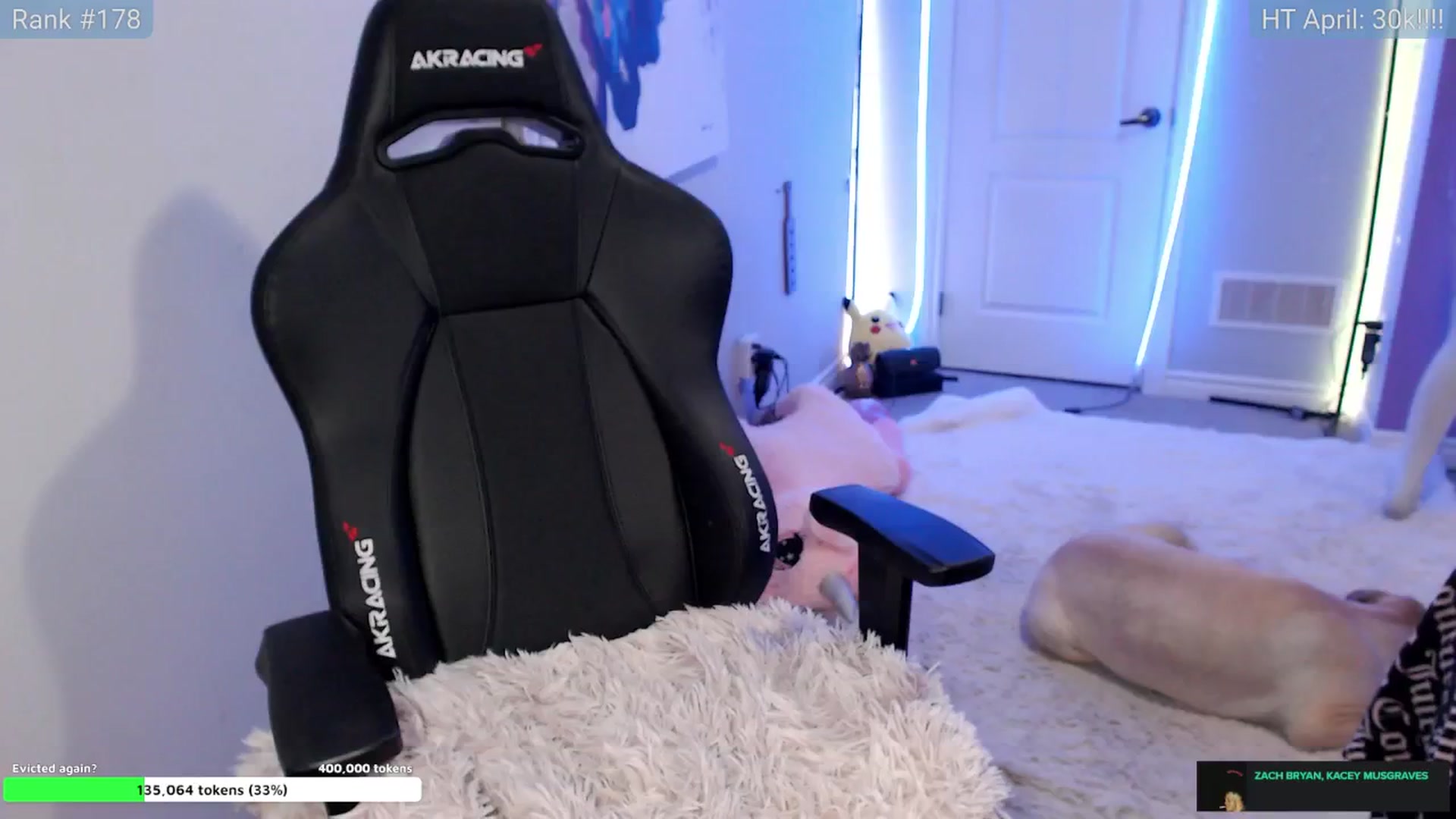 Gallery image thumbnail from HaileeCameron's myfreecams stream on, 04/29/2024, 05:31 image 14 of 20