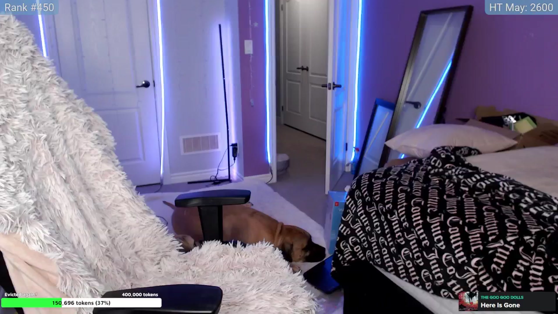 Gallery image thumbnail from HaileeCameron's myfreecams stream on, 05/10/2024, 06:14 image 12 of 20