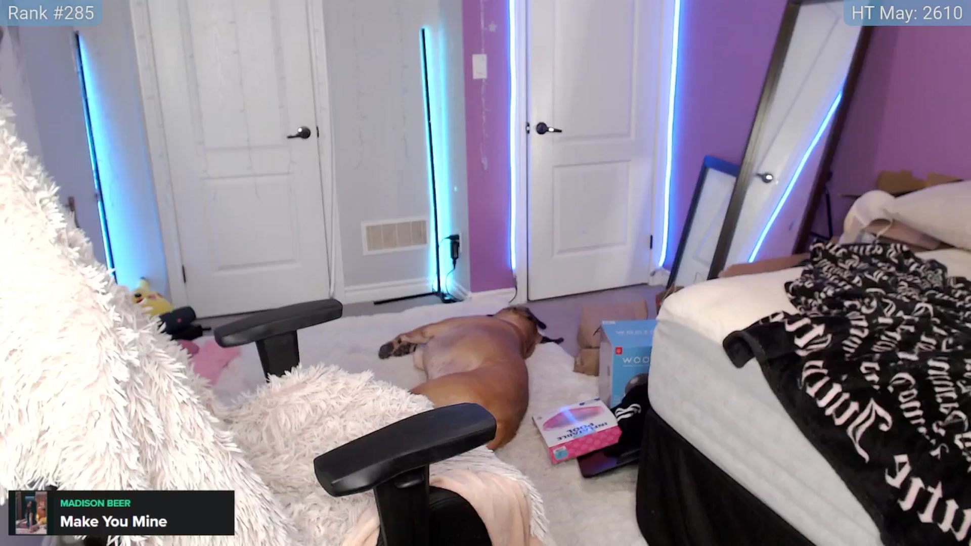 Gallery image thumbnail from HaileeCameron's myfreecams stream on, 05/19/2024, 07:13 image 15 of 20