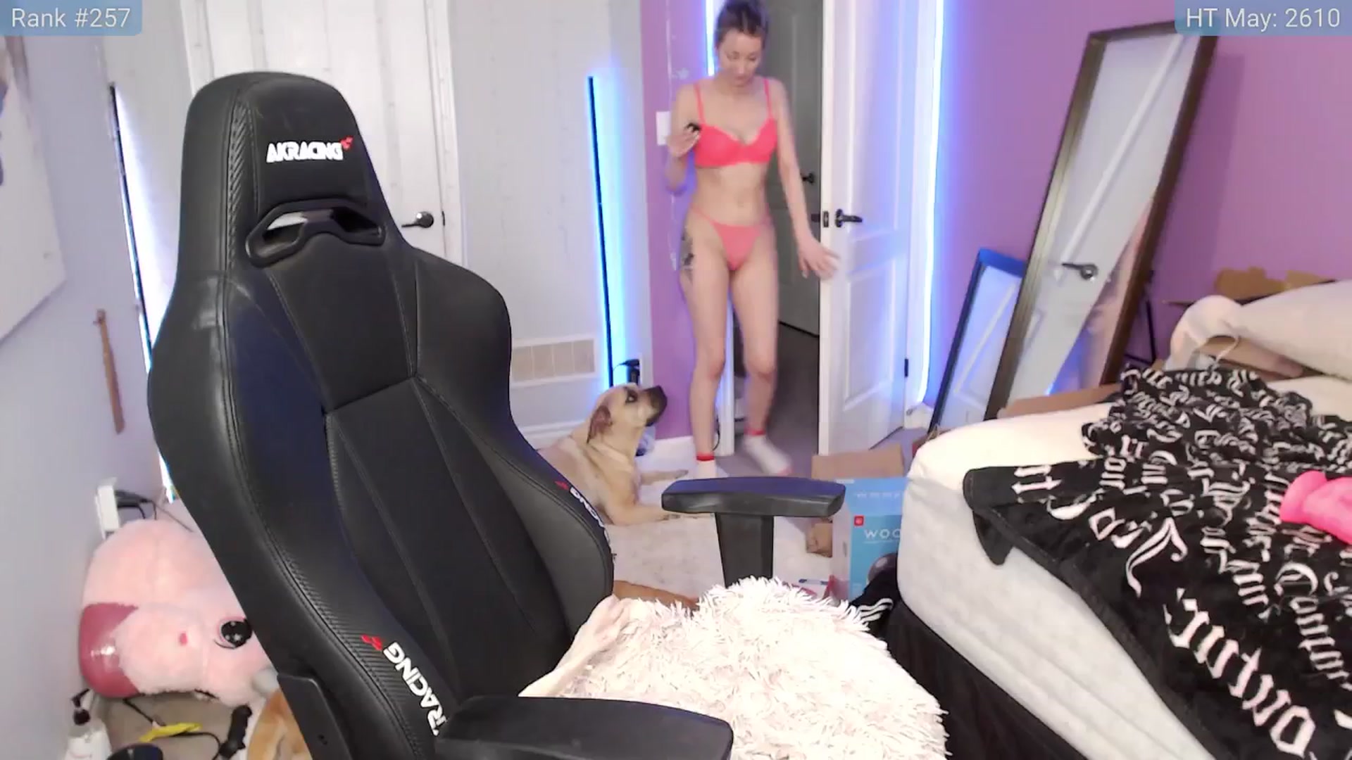 Gallery image thumbnail from HaileeCameron's myfreecams stream on, 05/19/2024, 08:52 image 4 of 20