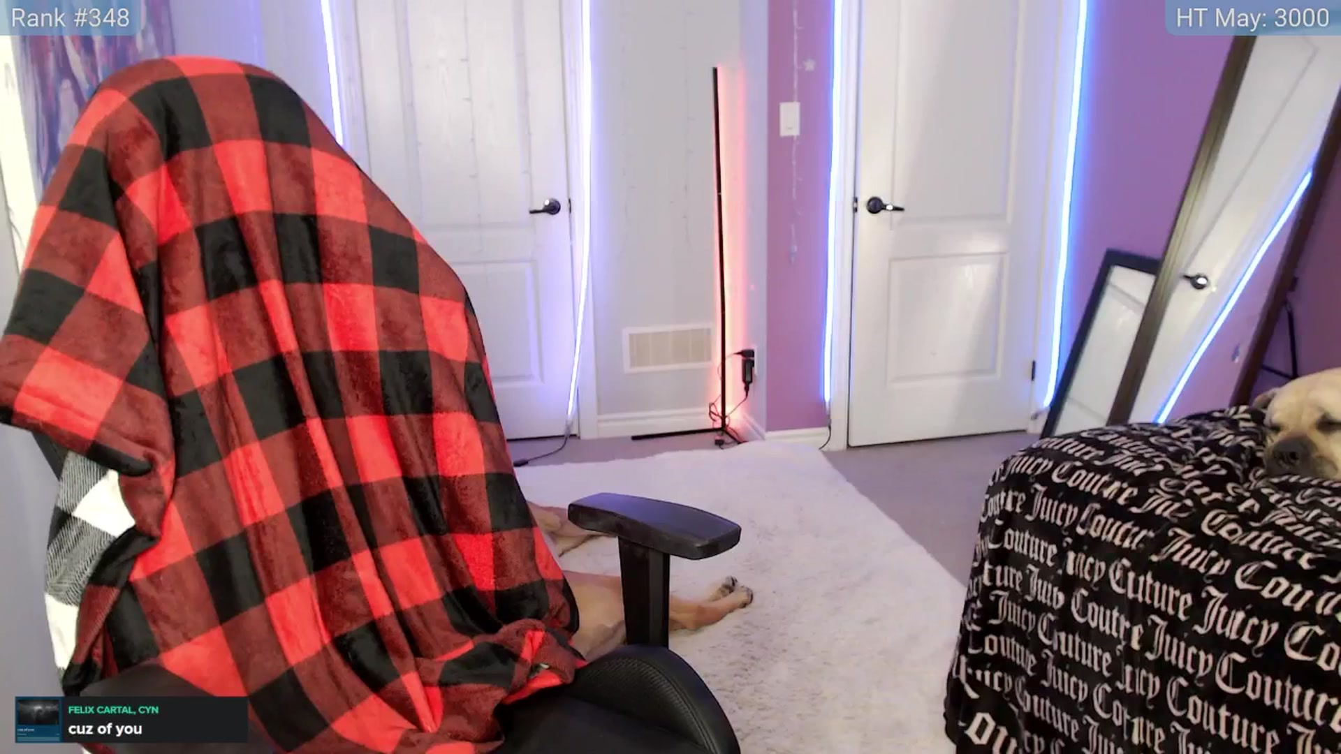 Gallery image thumbnail from HaileeCameron's myfreecams stream on, 05/26/2024, 05:08 image 11 of 20