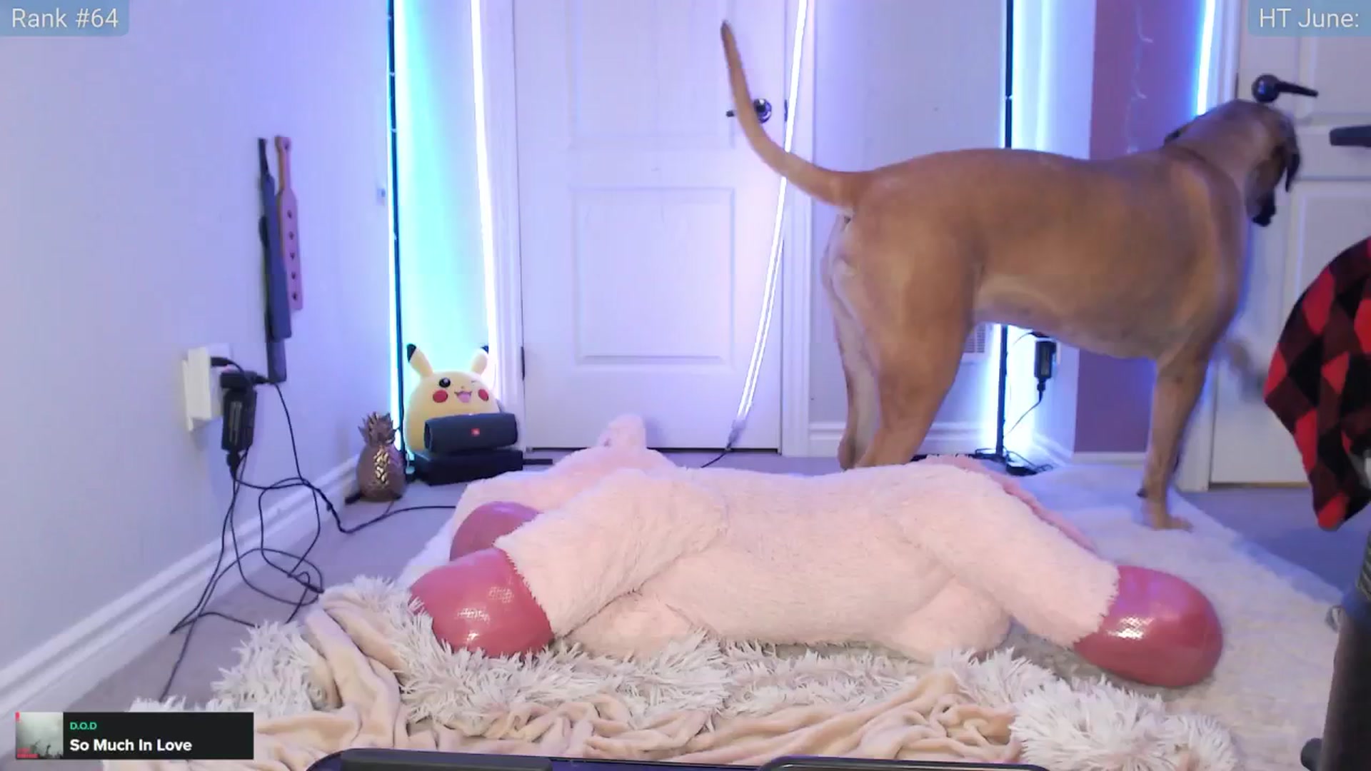 Gallery image thumbnail from HaileeCameron's myfreecams stream on, 06/01/2024, 08:04 image 5 of 20