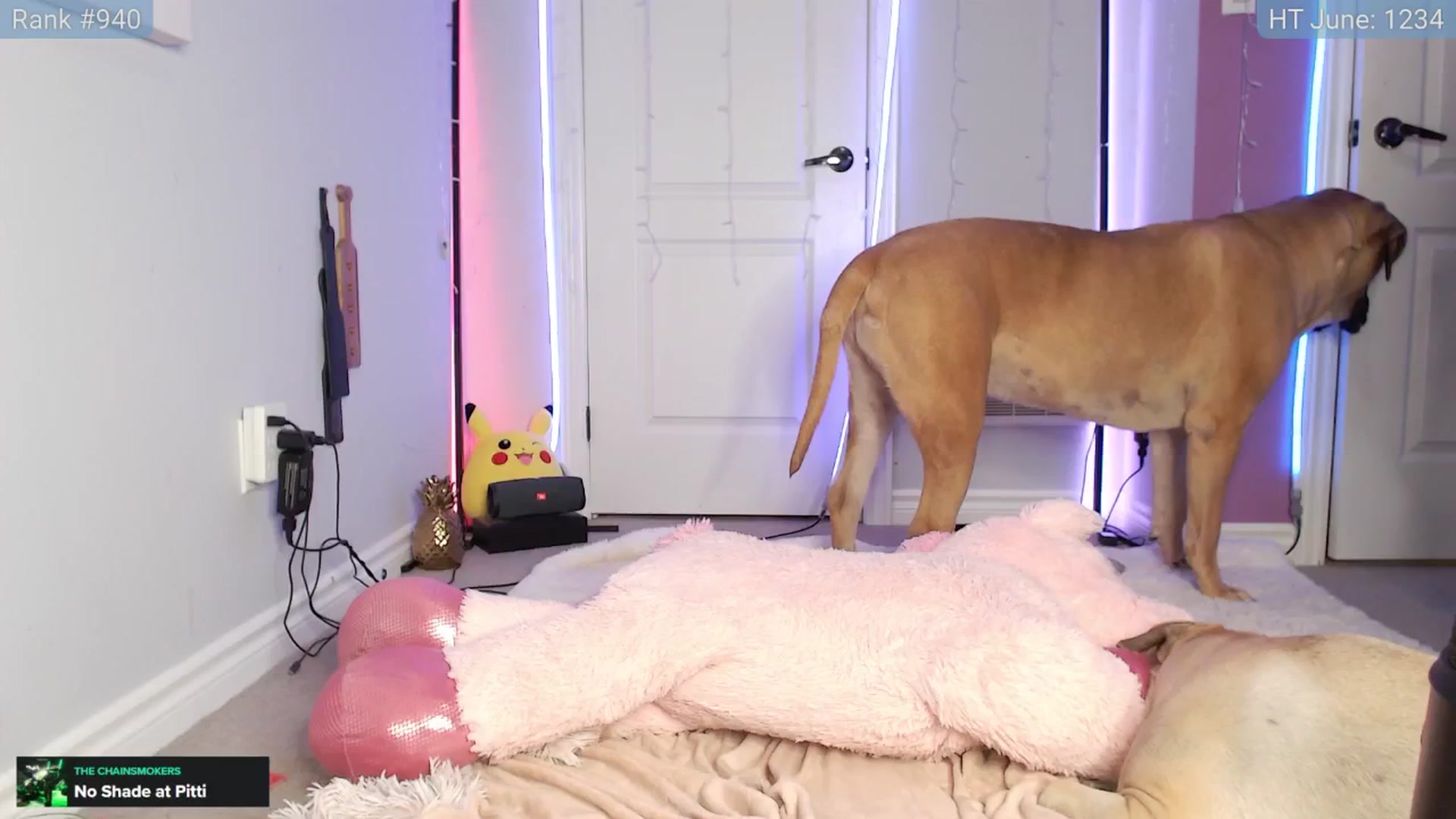 Gallery image thumbnail from HaileeCameron's myfreecams stream on, 06/06/2024, 07:24 image 1 of 20