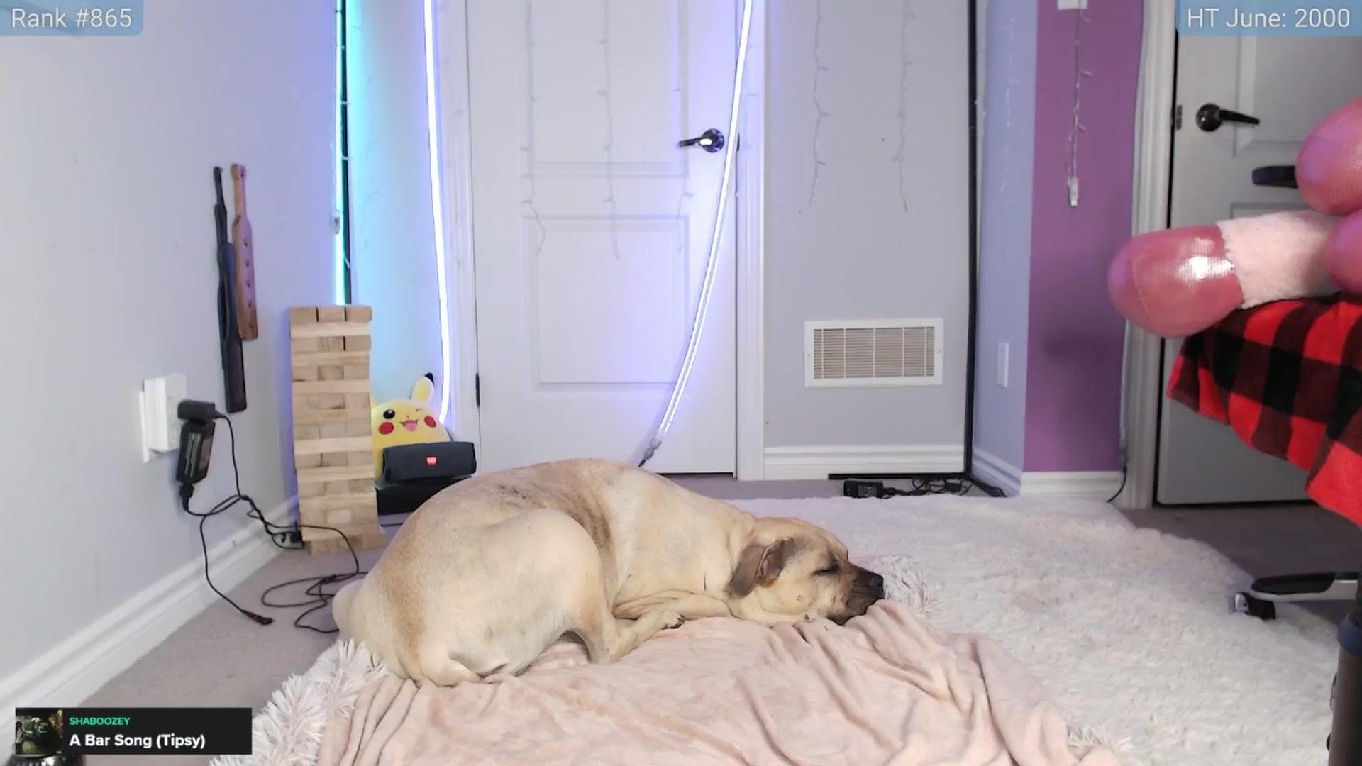 Gallery image thumbnail from HaileeCameron's myfreecams stream on, 06/13/2024, 02:03 image 14 of 20