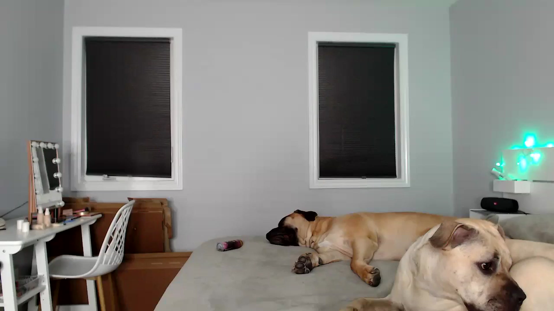 Gallery image thumbnail from HaileeCameron's myfreecams stream on, 06/19/2024, 09:31 image 1 of 20