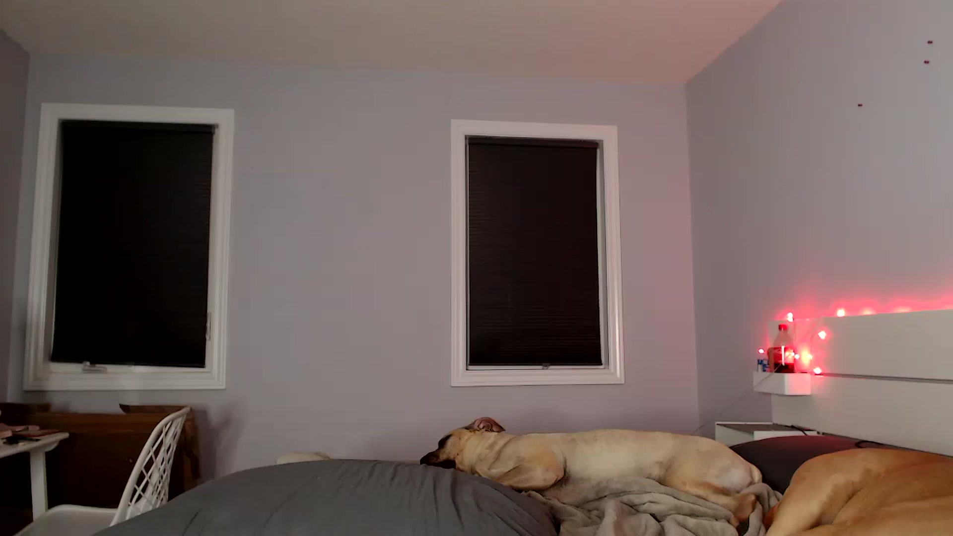 Gallery image thumbnail from HaileeCameron's myfreecams stream on, 06/22/2024, 09:03 image 11 of 20
