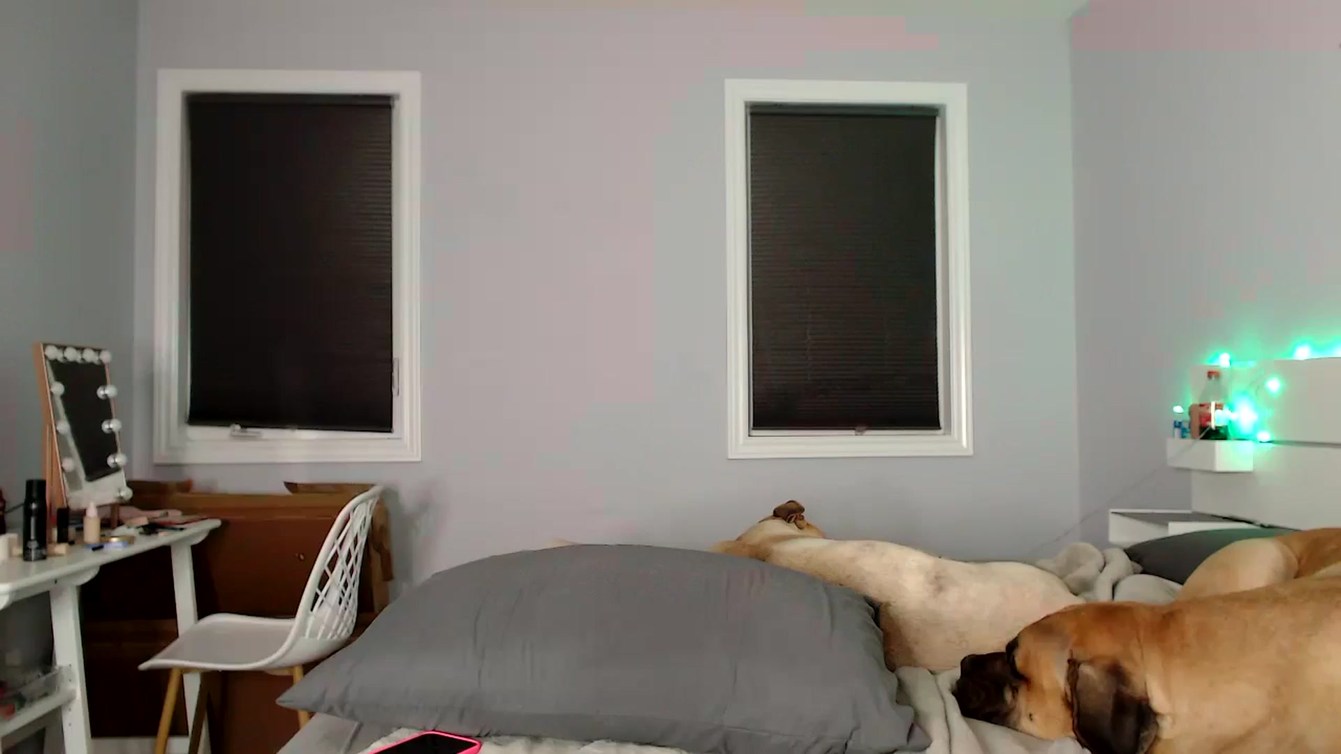 Gallery image thumbnail from HaileeCameron's myfreecams stream on, 06/22/2024, 09:03 image 7 of 20