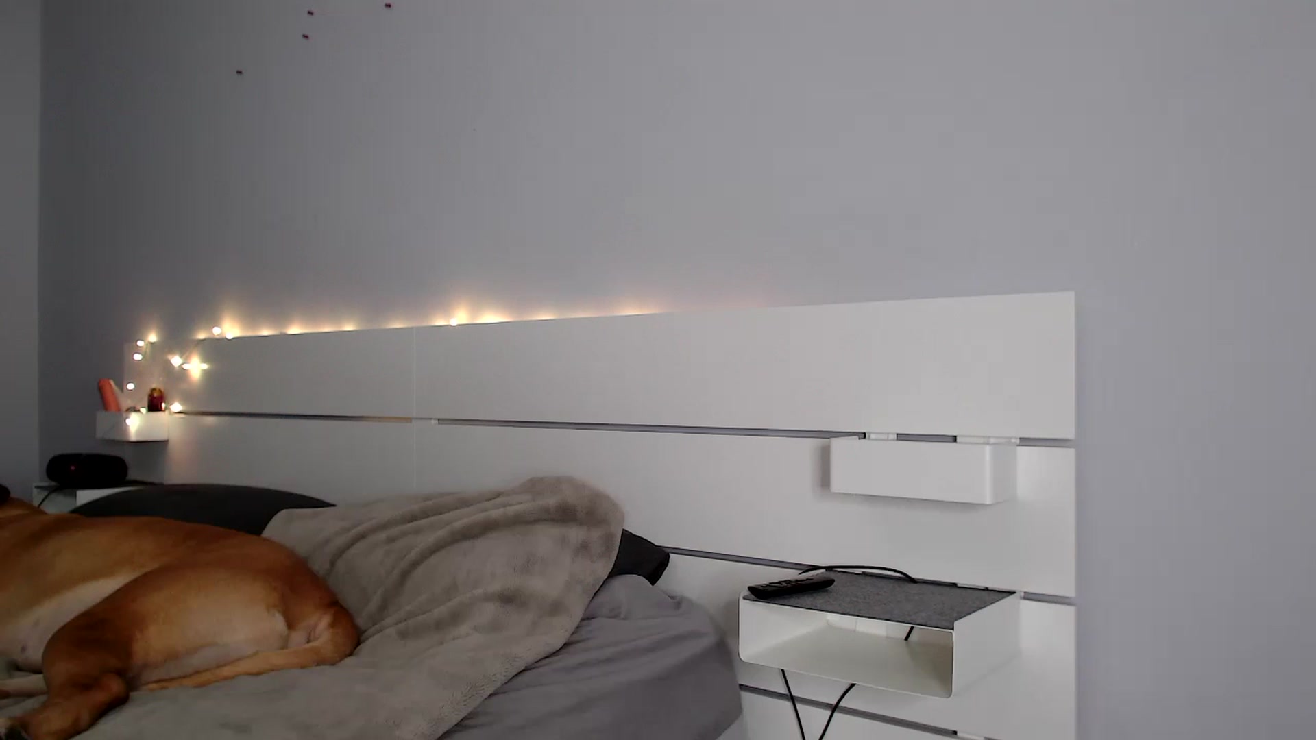 Gallery image thumbnail from HaileeCameron's myfreecams stream on, 06/25/2024, 06:50 image 6 of 20