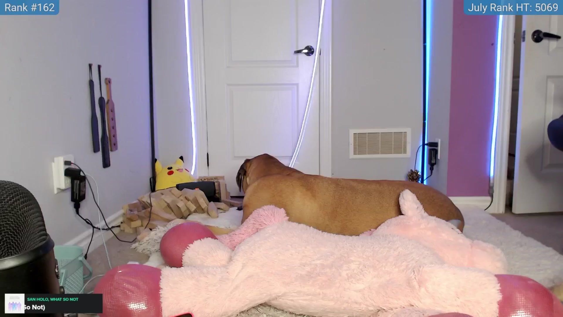 Gallery image thumbnail from HaileeCameron's myfreecams stream on, 07/14/2024, 05:59 image 10 of 20