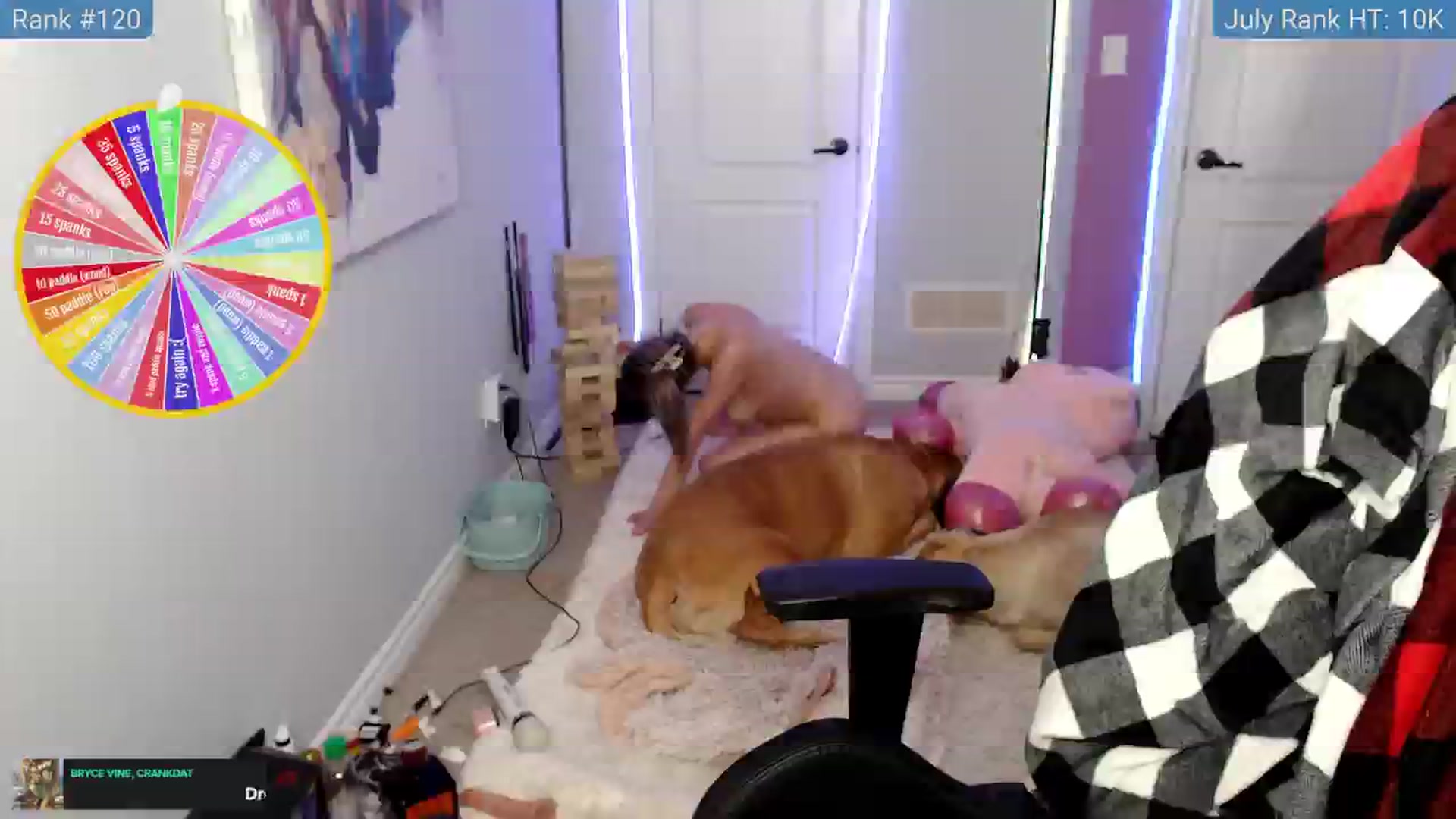 Gallery image thumbnail from HaileeCameron's myfreecams stream on, 07/25/2024, 05:14 image 2 of 20