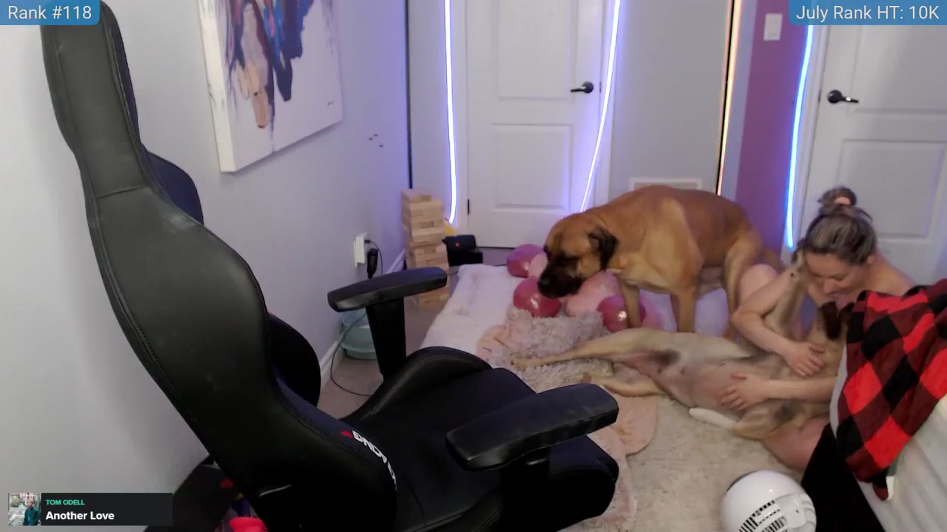 Gallery image thumbnail from HaileeCameron's myfreecams stream on, 07/26/2024, 06:24 image 9 of 20