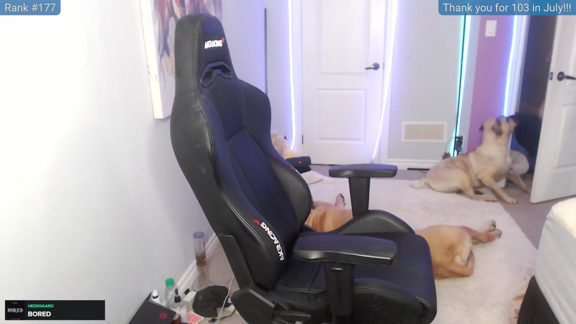 Gallery image thumbnail from HaileeCameron's myfreecams stream on, 08/05/2024, 09:58 image 8 of 20