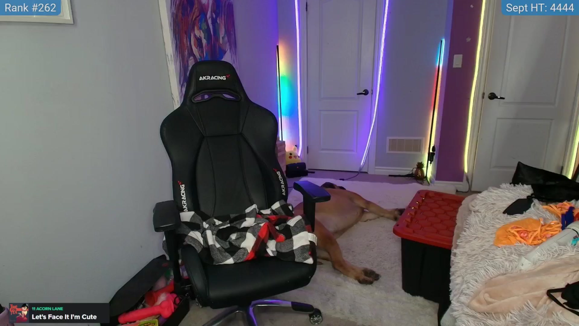 Gallery image thumbnail from HaileeCameron's myfreecams stream on, 09/16/2024, 03:57 image 8 of 20