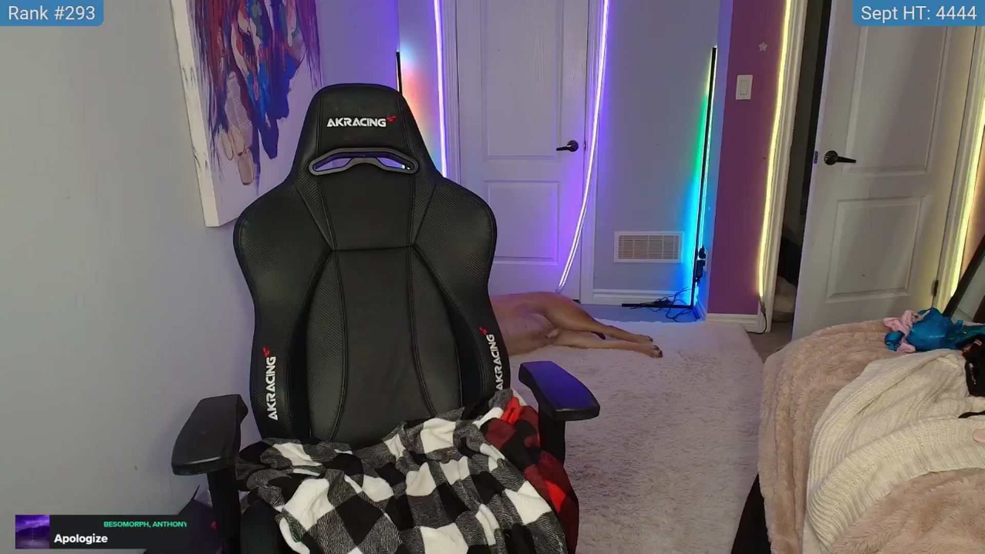 Gallery image thumbnail from HaileeCameron's myfreecams stream on, 09/23/2024, 06:56 image 11 of 20