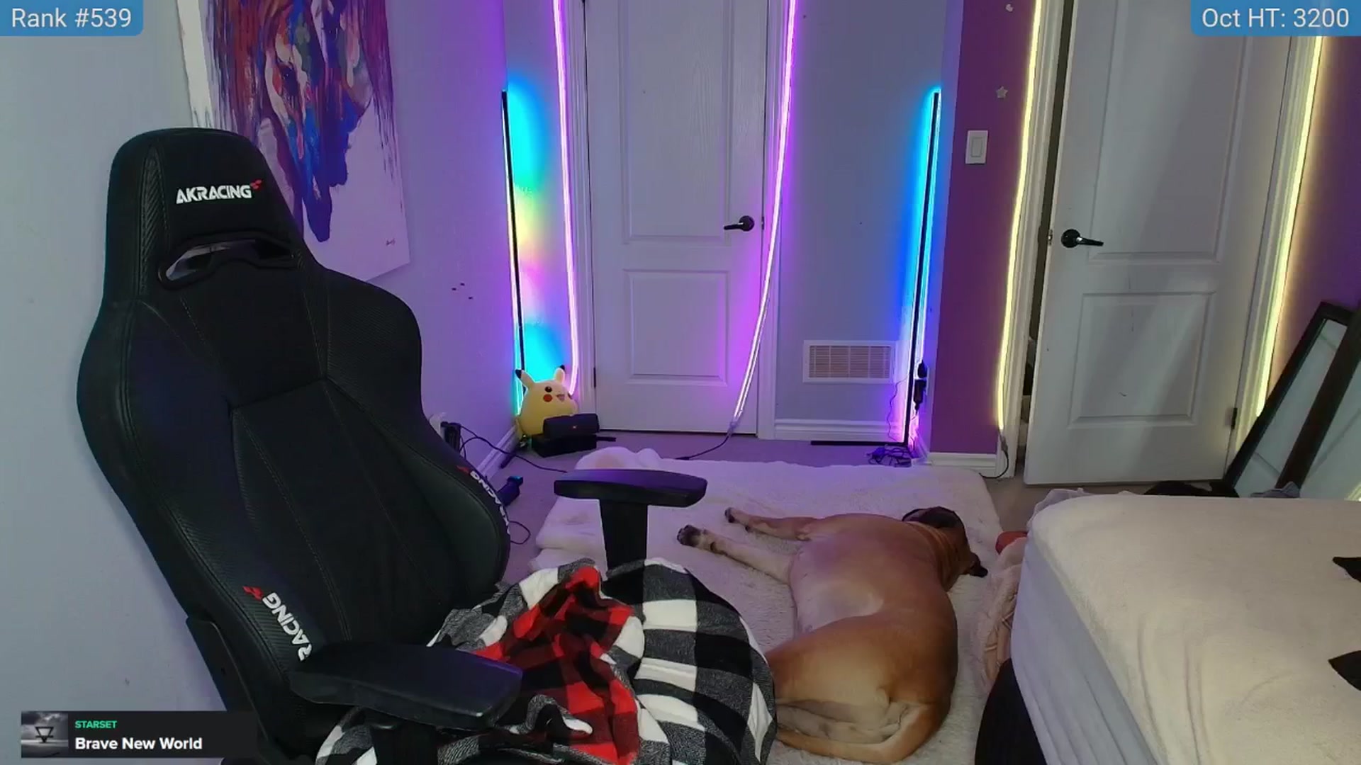 Gallery image thumbnail from HaileeCameron's myfreecams stream on, 10/11/2024, 04:19 image 7 of 20