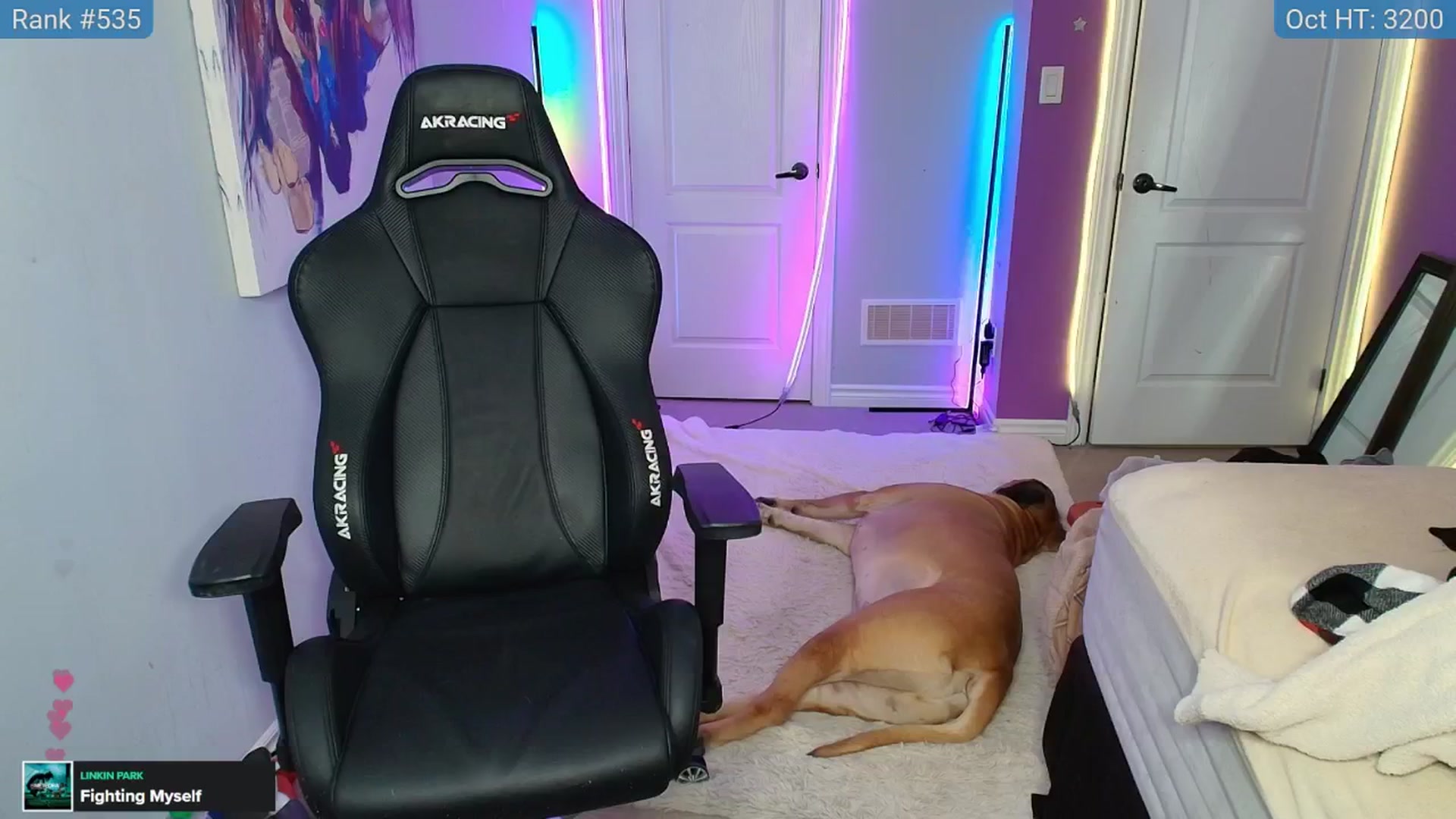Gallery image thumbnail from HaileeCameron's myfreecams stream on, 10/11/2024, 04:19 image 17 of 20