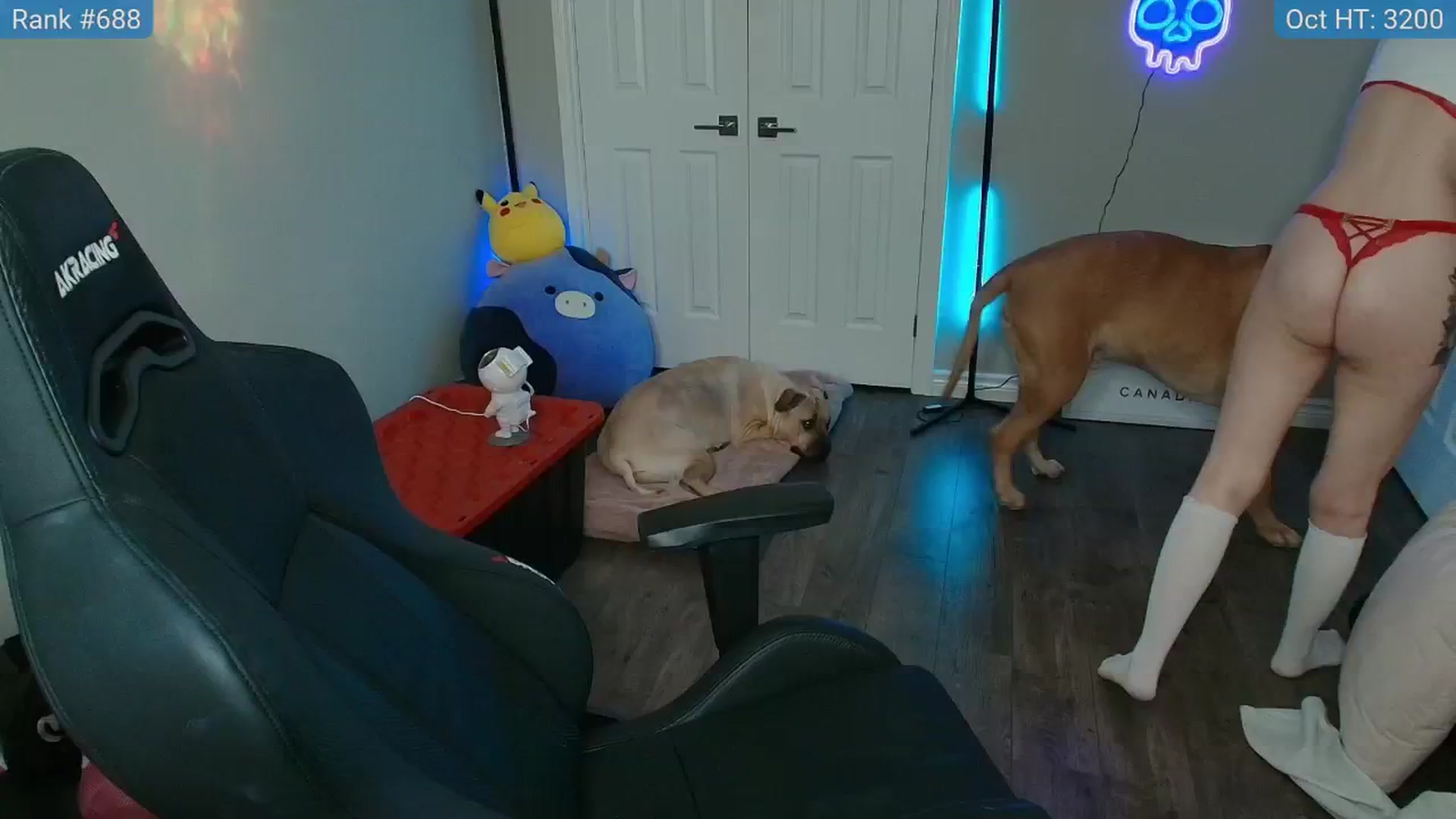 Gallery image thumbnail from HaileeCameron's myfreecams stream on, 10/28/2024, 07:29 image 3 of 20