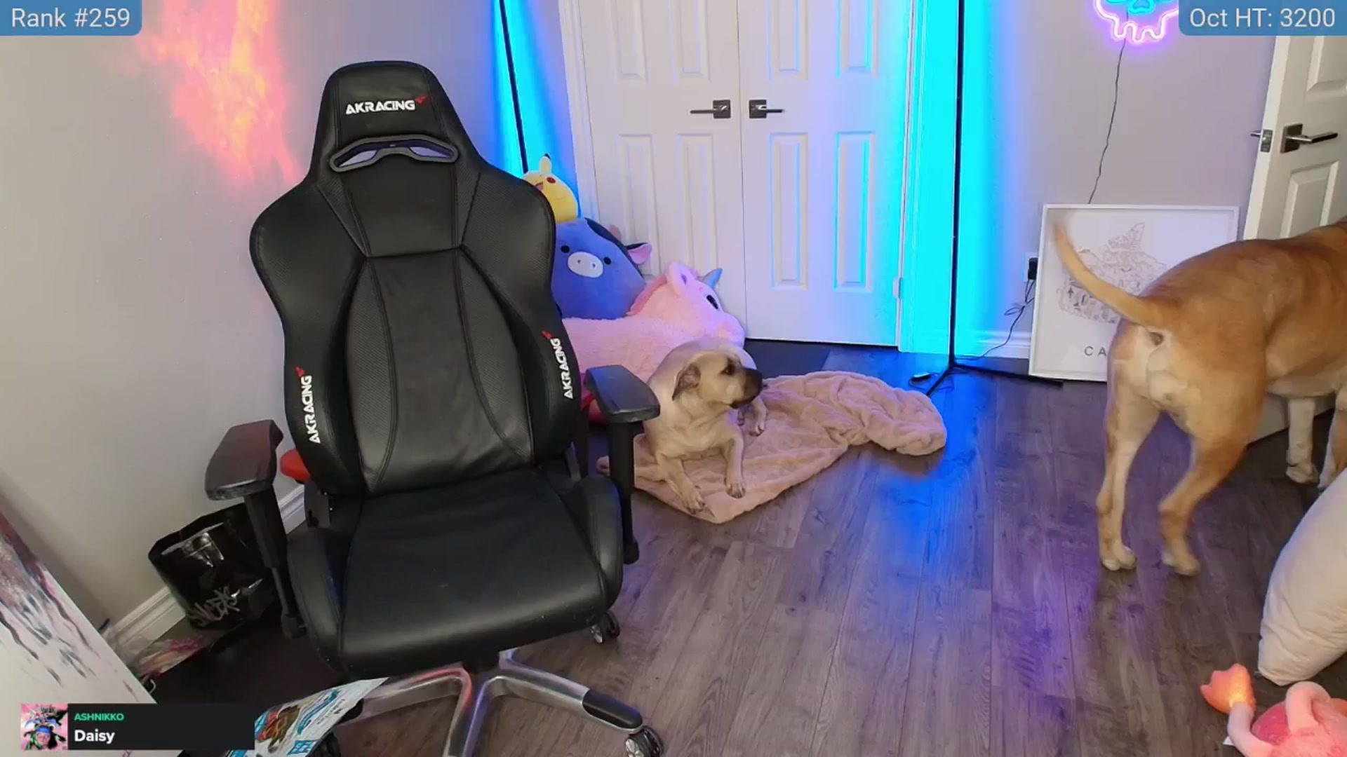Gallery image thumbnail from HaileeCameron's myfreecams stream on, 11/01/2024, 08:51 image 7 of 20
