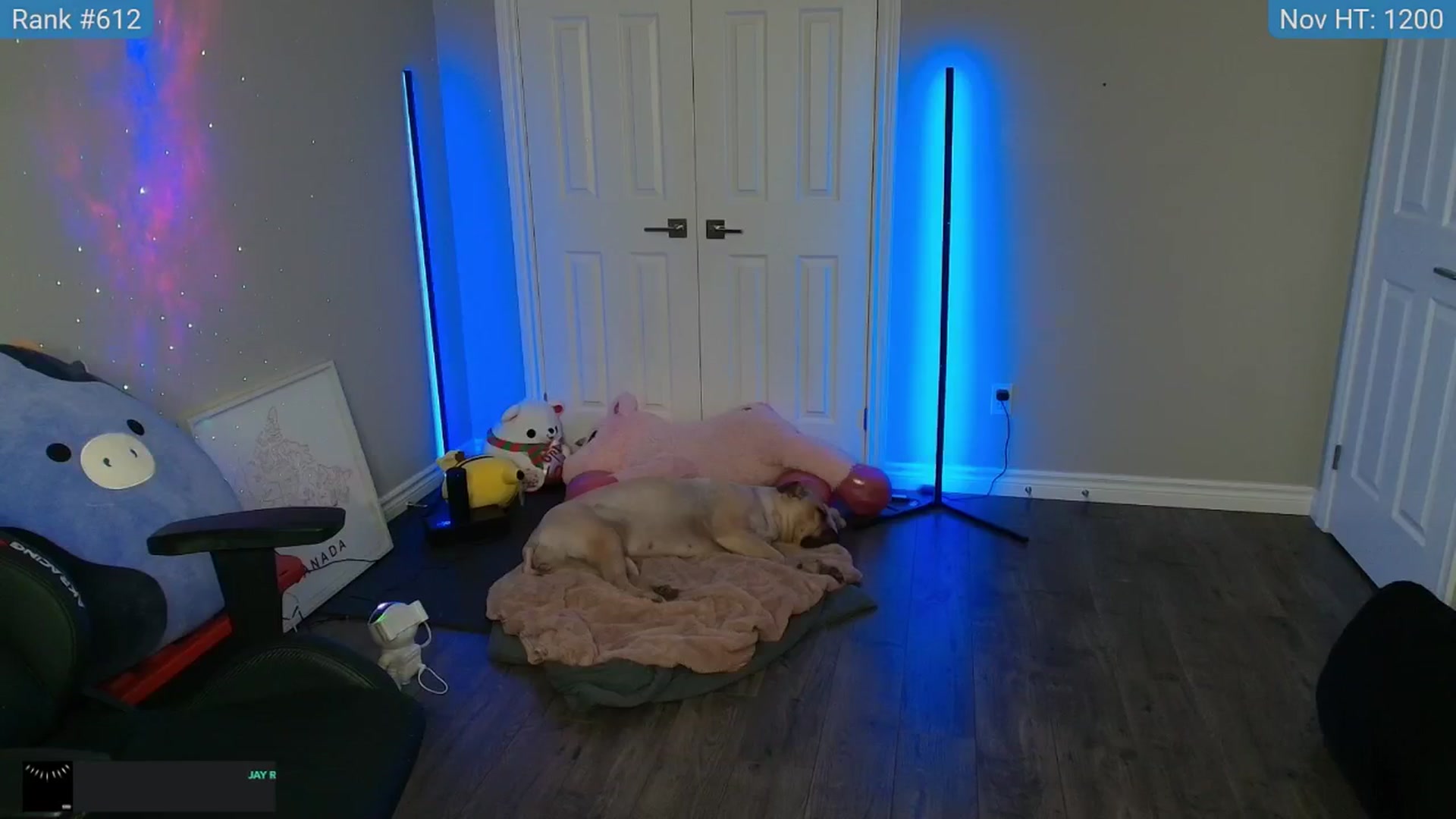 Gallery image thumbnail from HaileeCameron's myfreecams stream on, 11/14/2024, 06:08 image 4 of 20