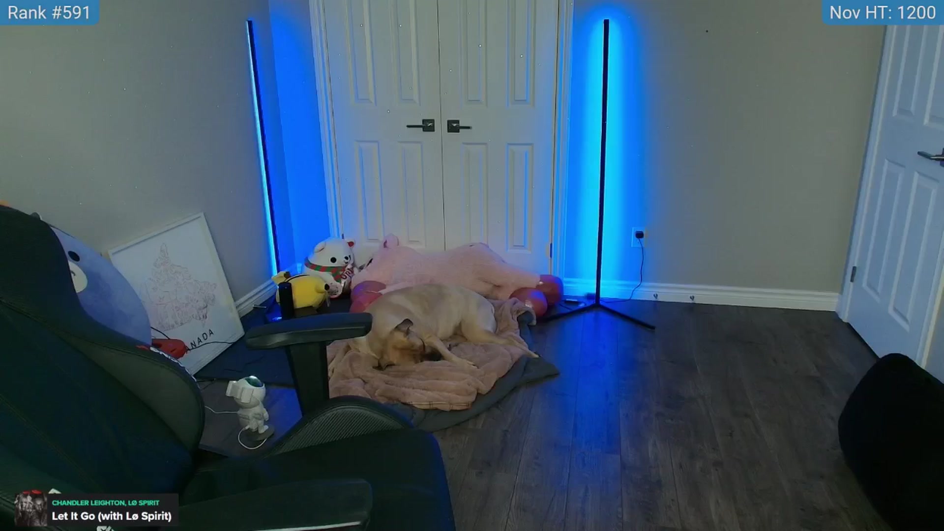Gallery image thumbnail from HaileeCameron's myfreecams stream on, 11/14/2024, 07:05 image 7 of 20