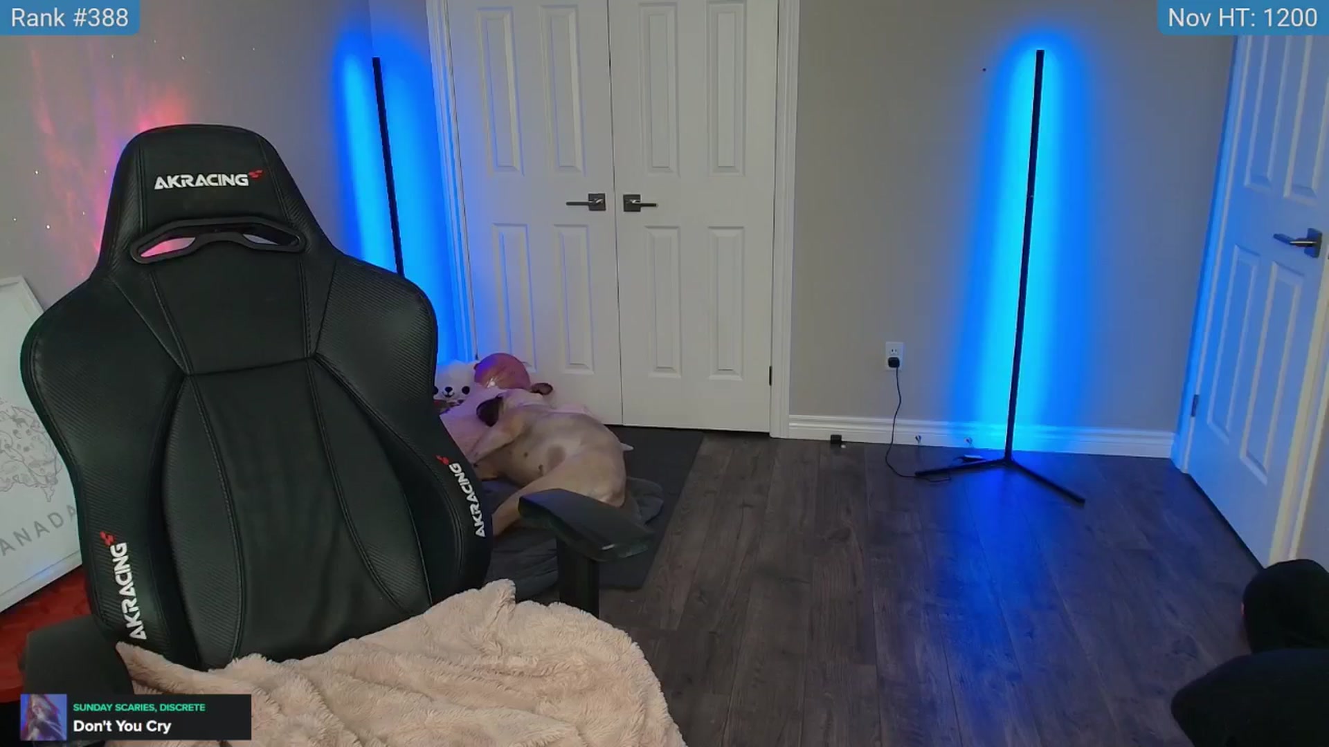 Gallery image thumbnail from HaileeCameron's myfreecams stream on, 11/30/2024, 06:46 image 10 of 20