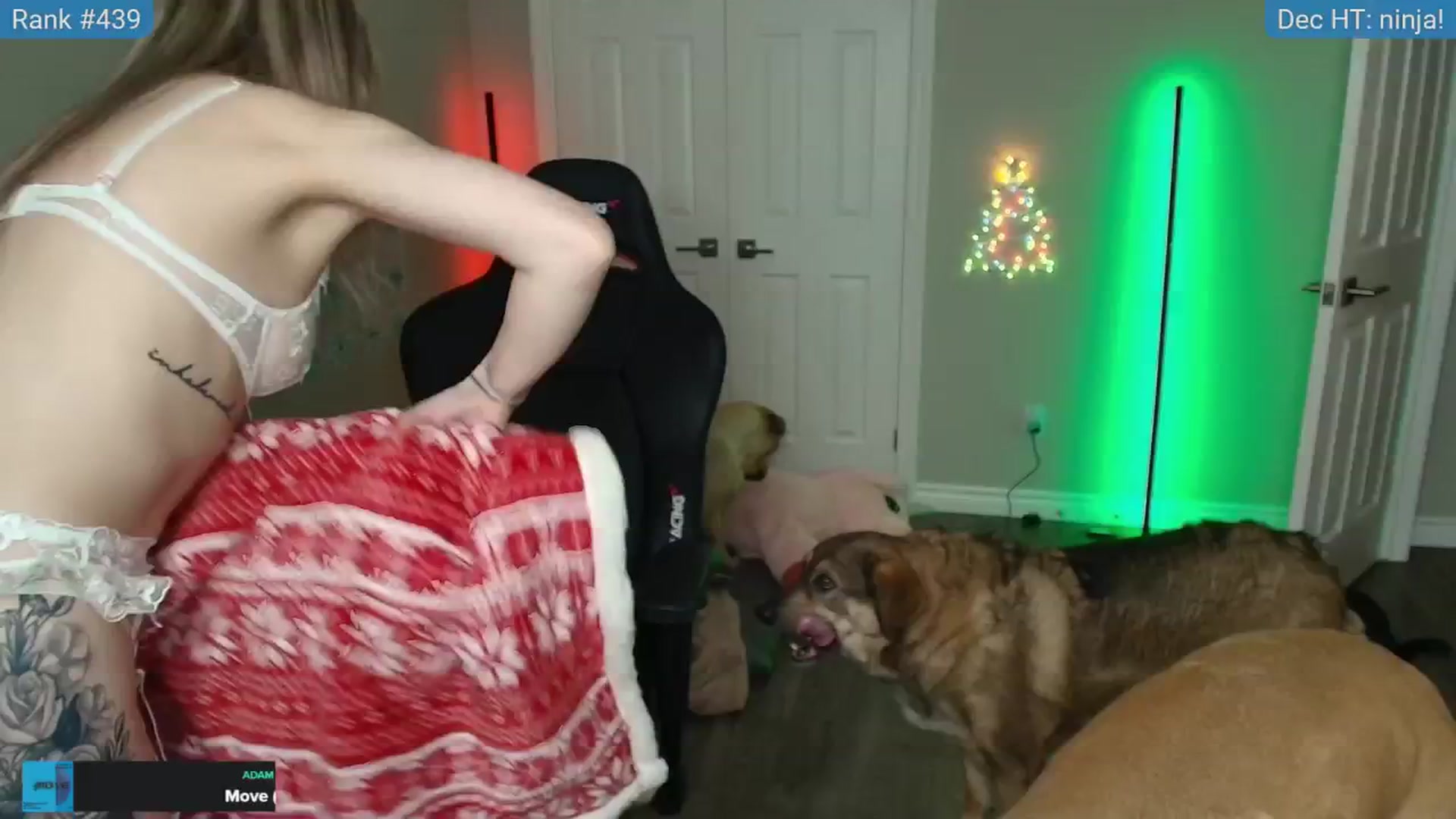 Gallery image thumbnail from HaileeCameron's myfreecams stream on, 12/08/2024, 06:24 image 3 of 20