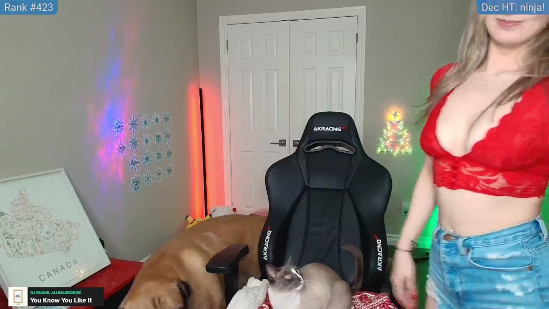 Gallery image thumbnail from HaileeCameron's myfreecams stream on, 12/10/2024, 05:19 image 20 of 20