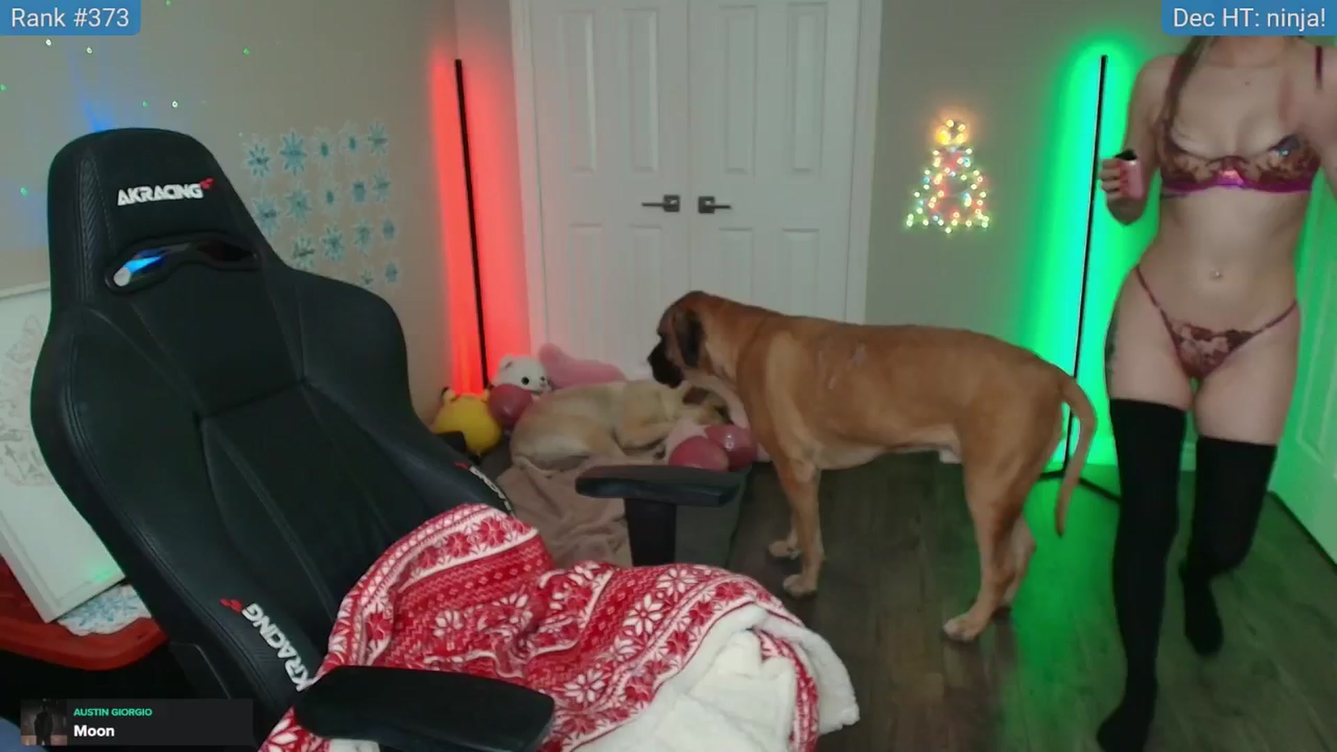Gallery image thumbnail from HaileeCameron's myfreecams stream on, 12/11/2024, 05:57 image 2 of 20