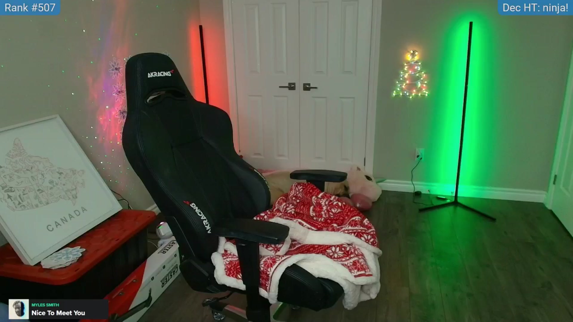 Gallery image thumbnail from HaileeCameron's myfreecams stream on, 12/14/2024, 05:47 image 12 of 20