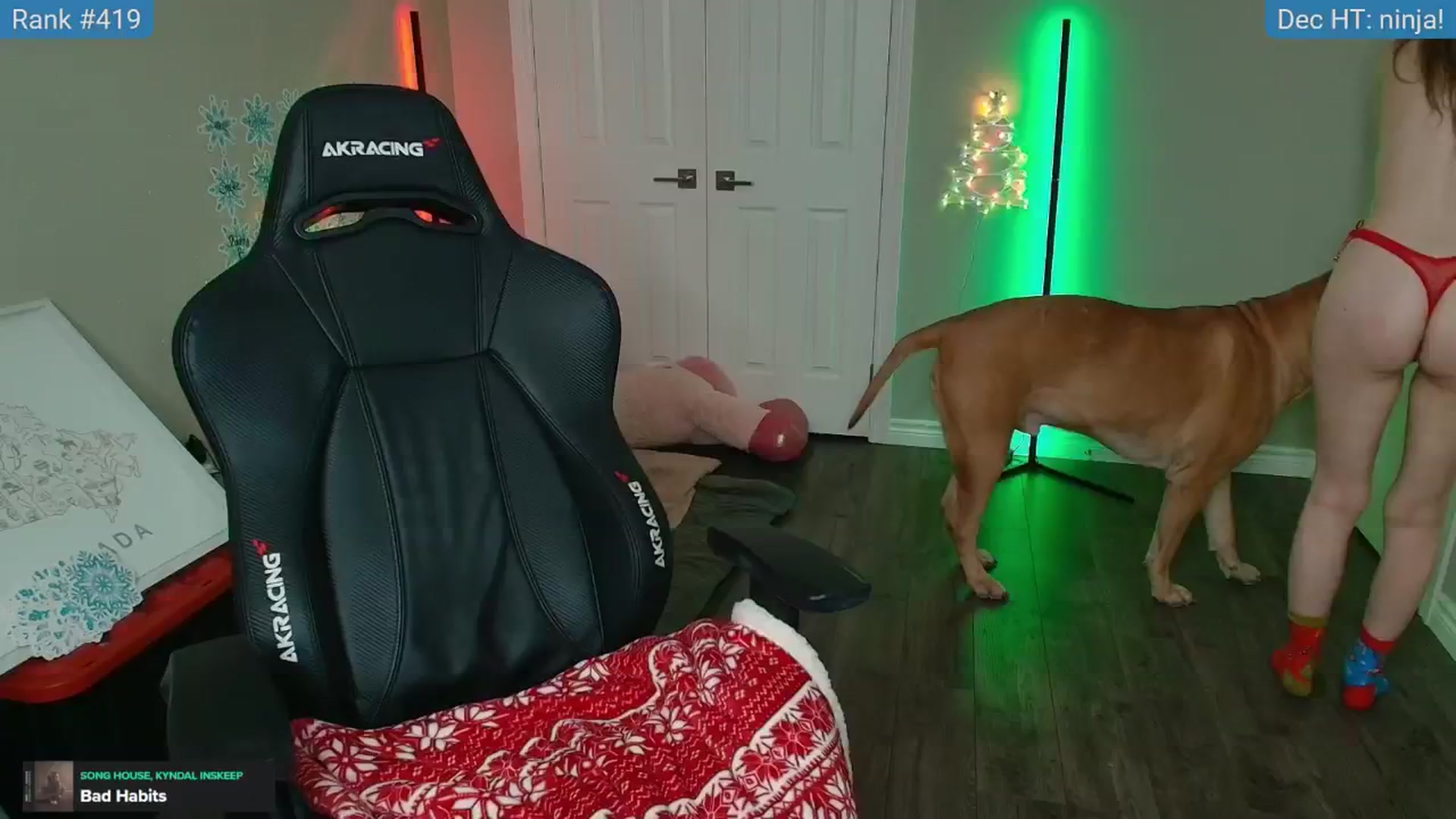 Gallery image thumbnail from HaileeCameron's myfreecams stream on, 12/24/2024, 07:31 image 8 of 20