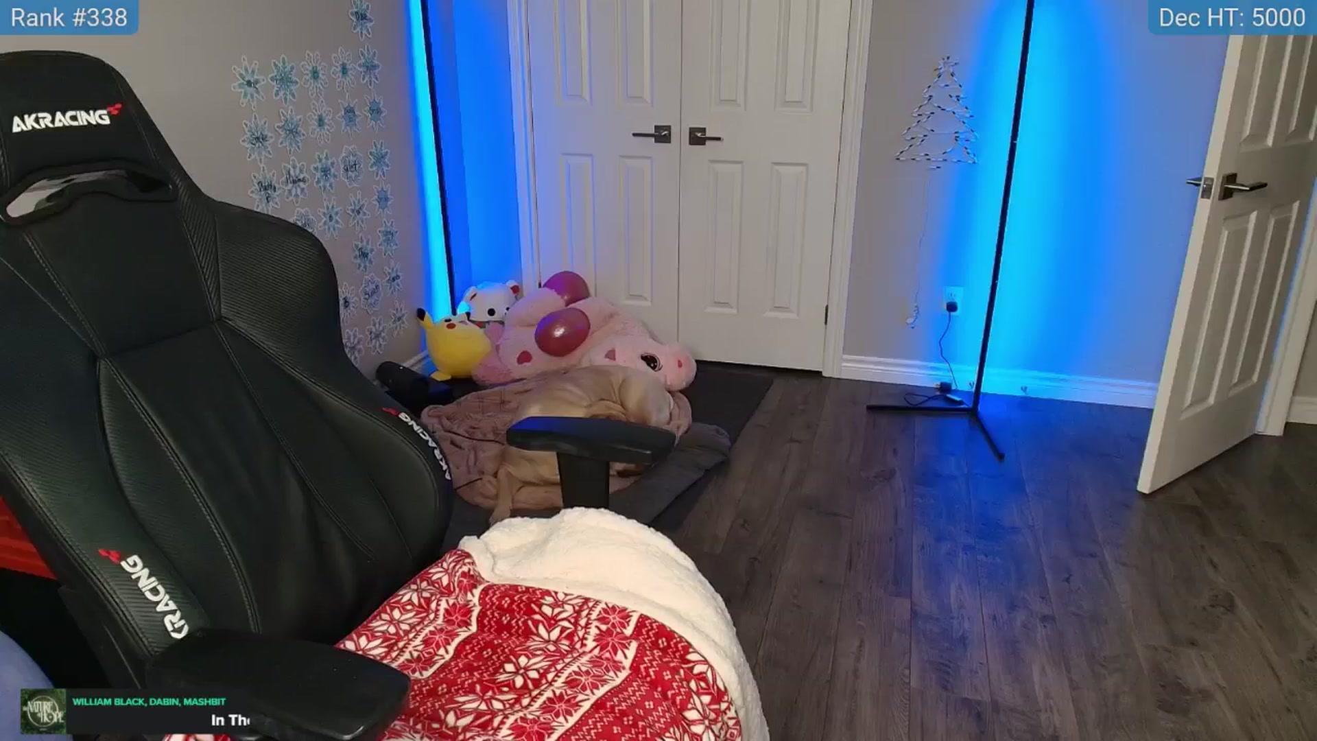 Gallery image thumbnail from HaileeCameron's myfreecams stream on, 12/30/2024, 09:11 image 16 of 20