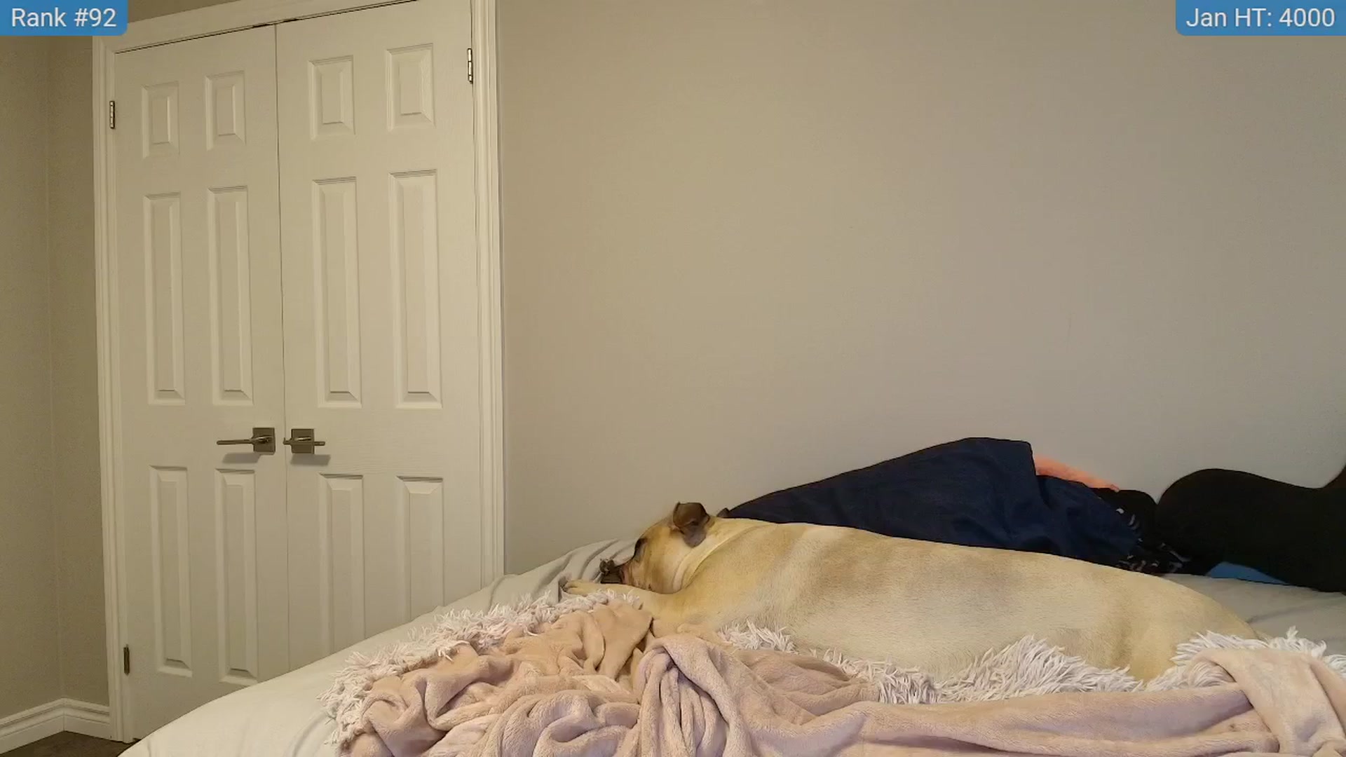 Gallery image thumbnail from HaileeCameron's myfreecams stream on, 01/06/2025, 14:04 image 13 of 20