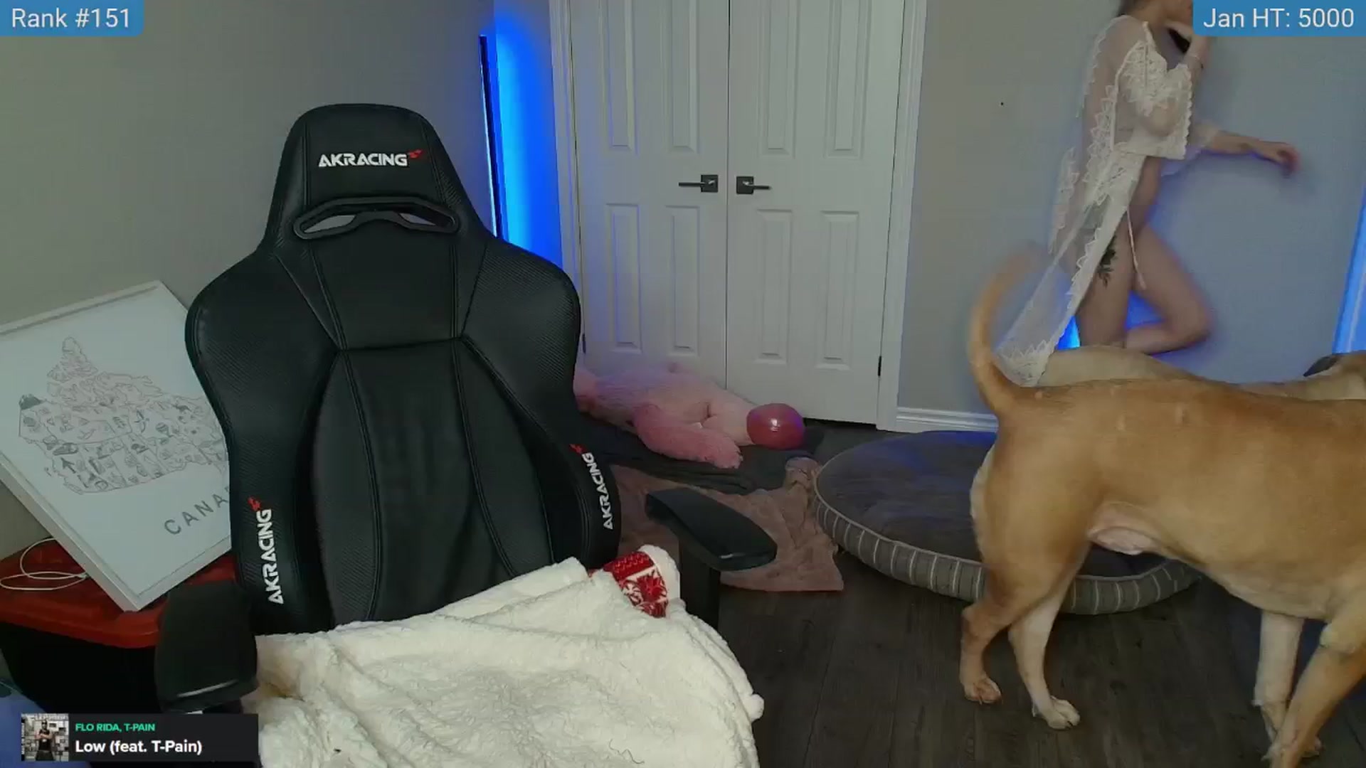 Gallery image thumbnail from HaileeCameron's myfreecams stream on, 01/12/2025, 10:27 image 16 of 20