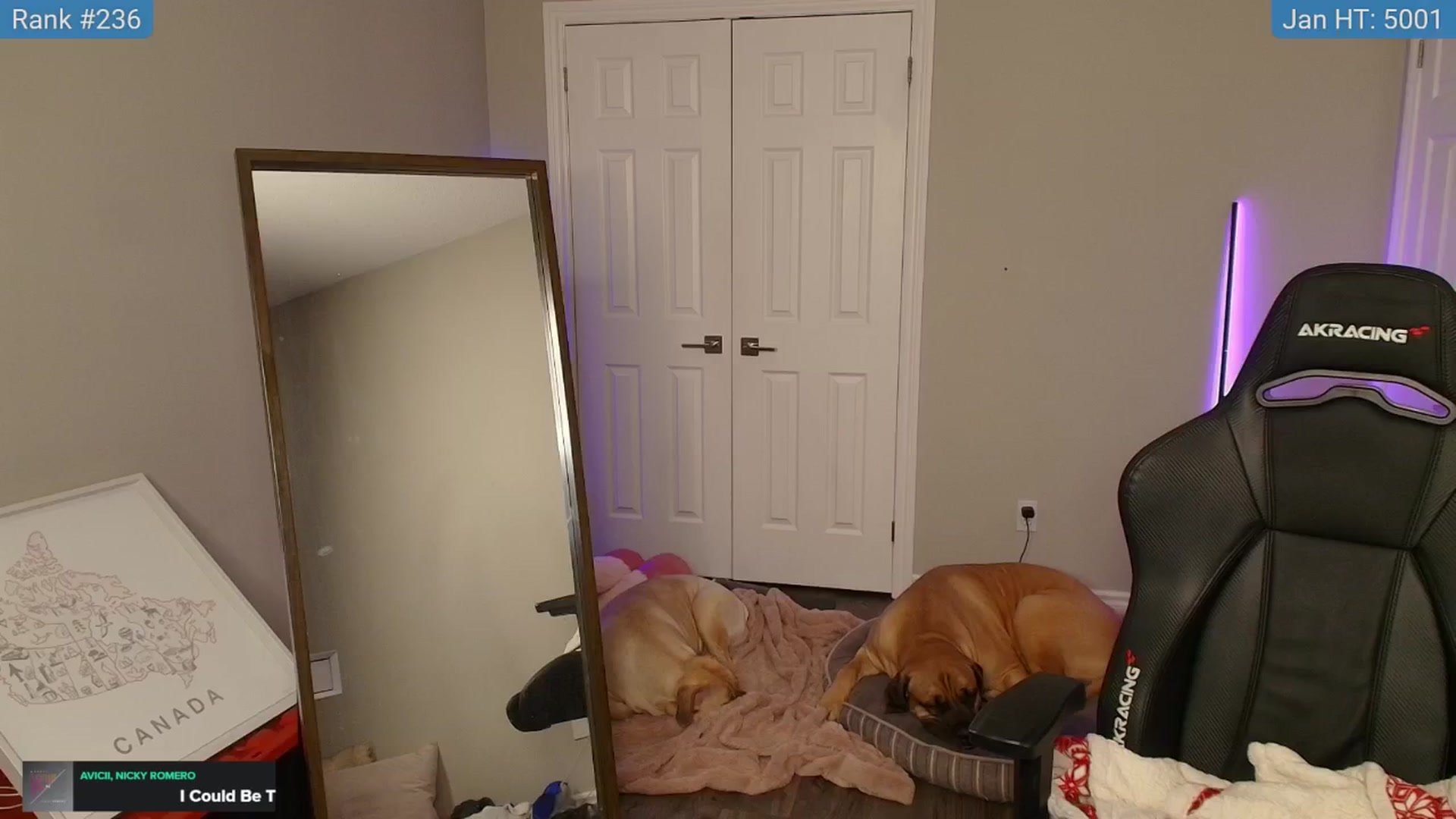 Gallery image thumbnail from HaileeCameron's myfreecams stream on, 01/25/2025, 11:06 image 18 of 20
