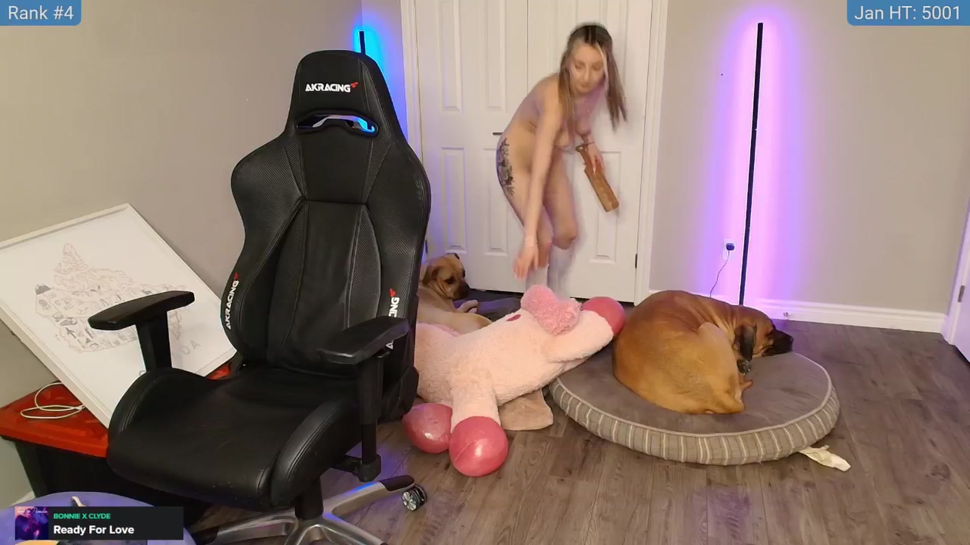 Gallery image thumbnail from HaileeCameron's myfreecams stream on, 02/01/2025, 09:45 image 11 of 20