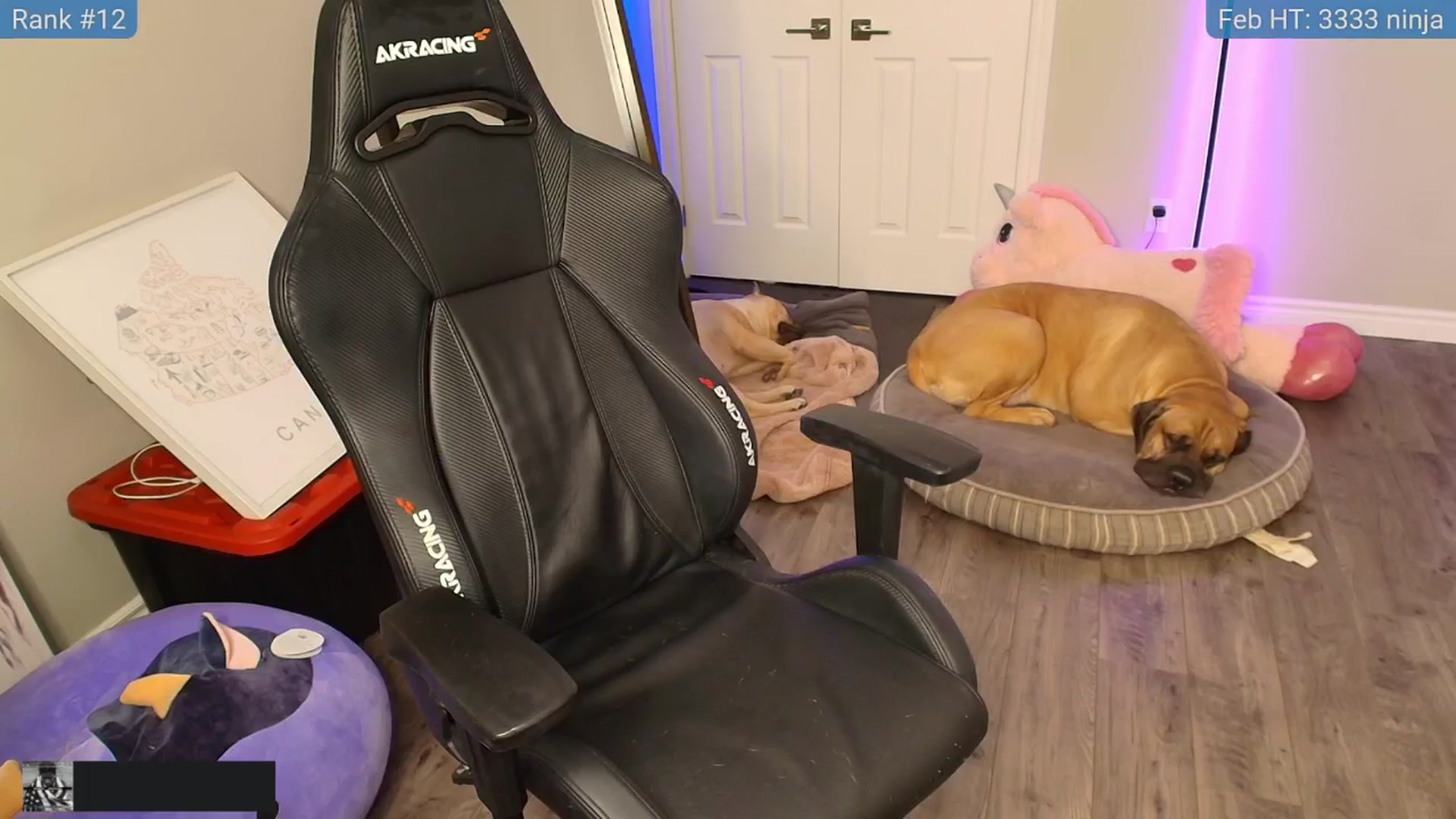 Gallery image thumbnail from HaileeCameron's myfreecams stream on, 02/01/2025, 11:24 image 18 of 20
