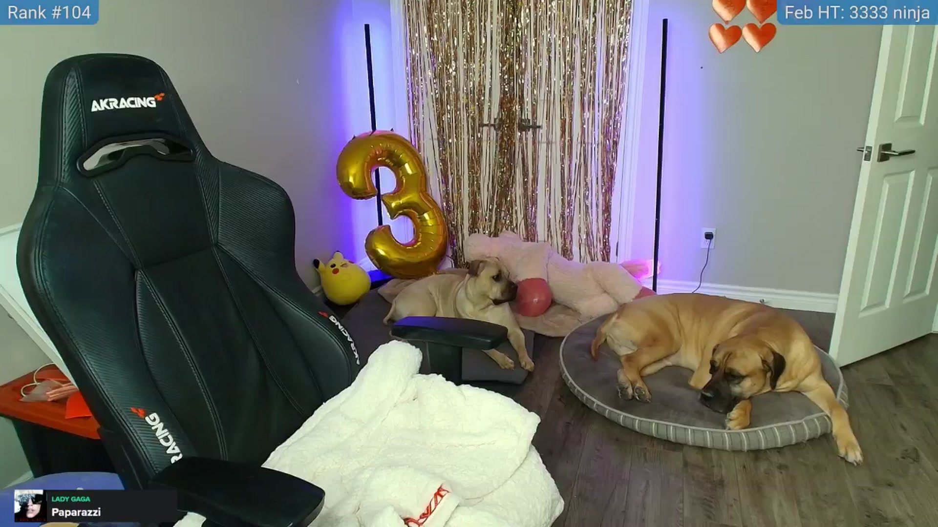 Gallery image thumbnail from HaileeCameron's myfreecams stream on, 02/03/2025, 08:05 image 15 of 20