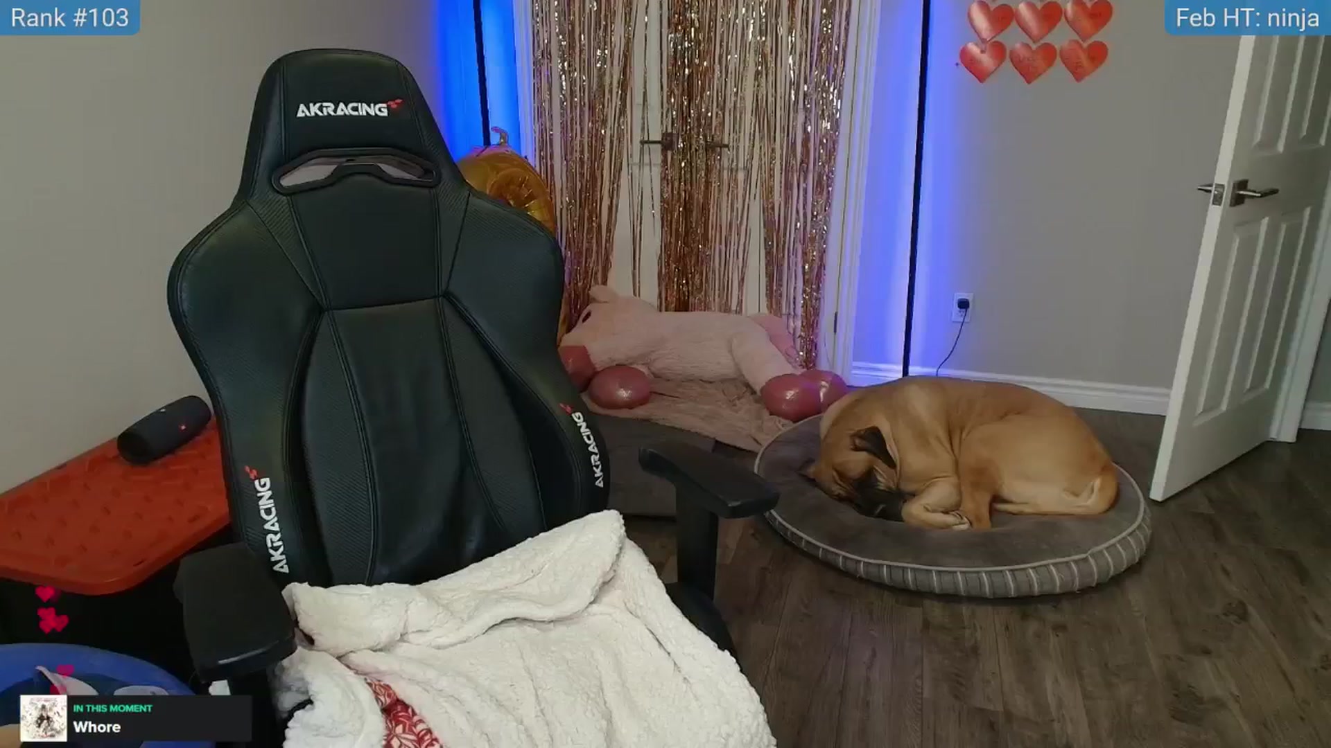 Gallery image thumbnail from HaileeCameron's myfreecams stream on, 02/04/2025, 07:39 image 17 of 20