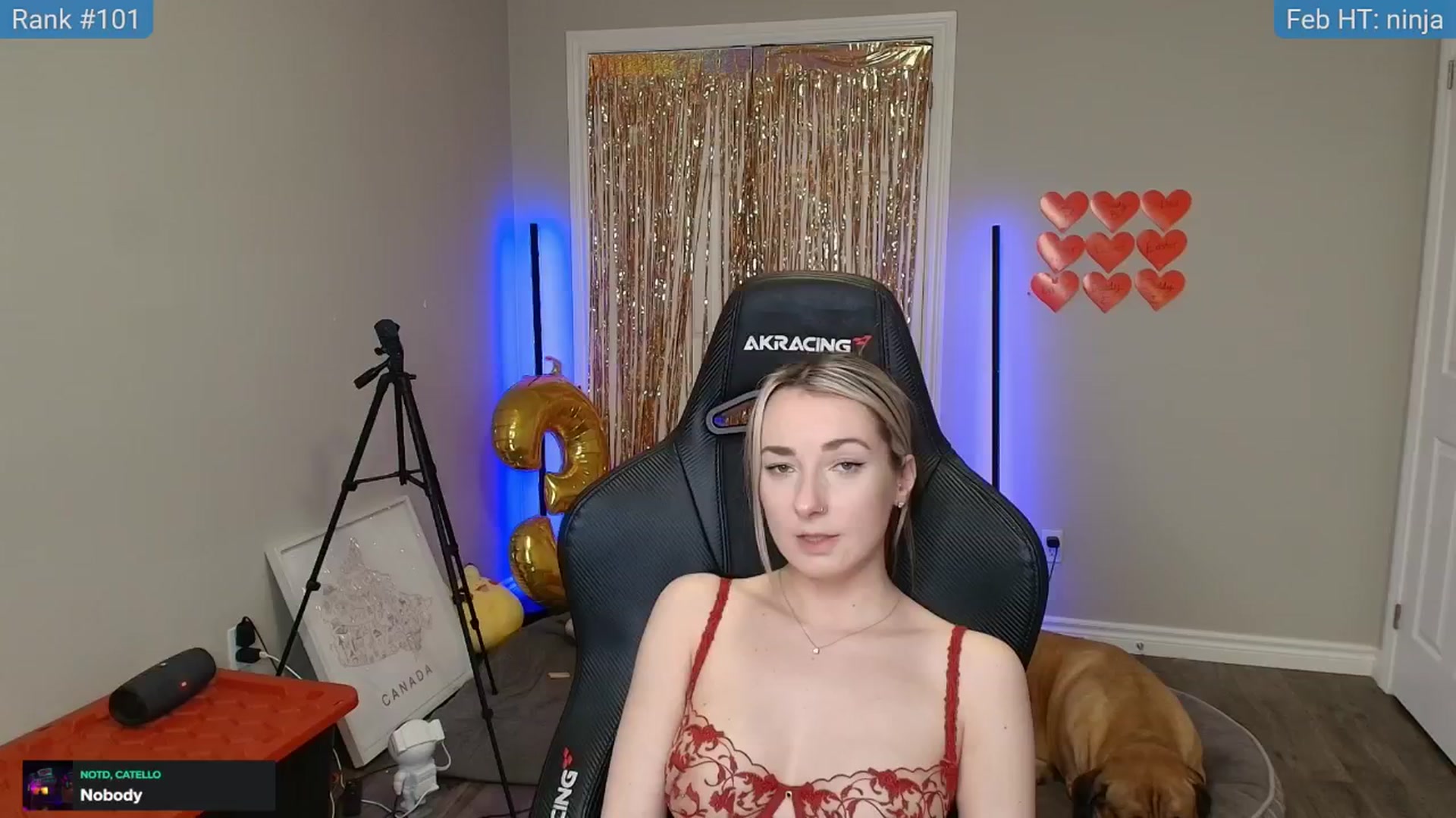 Gallery image thumbnail from HaileeCameron's myfreecams stream on, 02/04/2025, 07:39 image 7 of 20