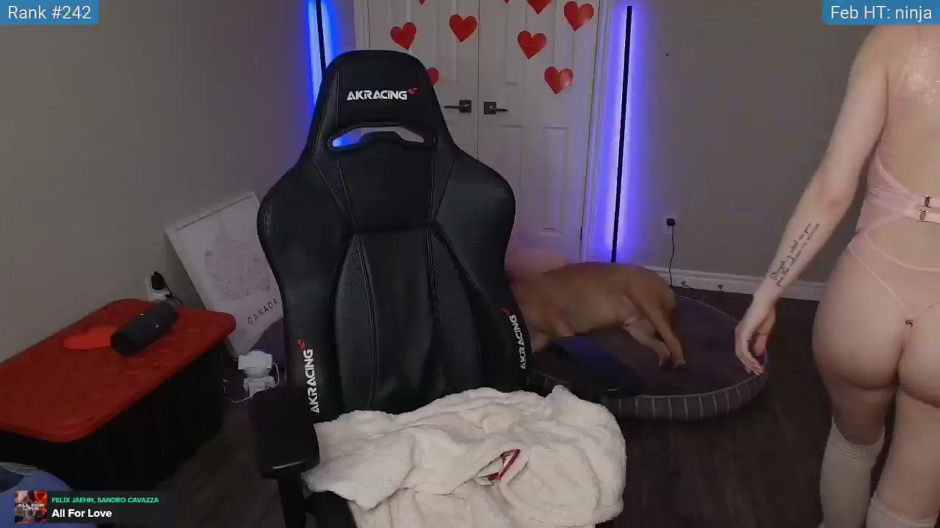 Gallery image thumbnail from HaileeCameron's myfreecams stream on, 02/13/2025, 08:47 image 14 of 20