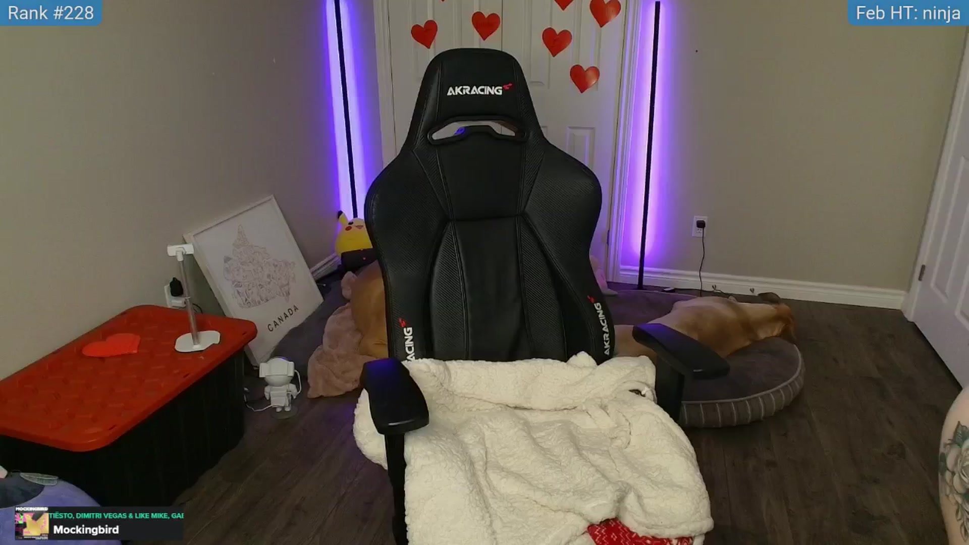 Gallery image thumbnail from HaileeCameron's myfreecams stream on, 02/13/2025, 09:46 image 3 of 20