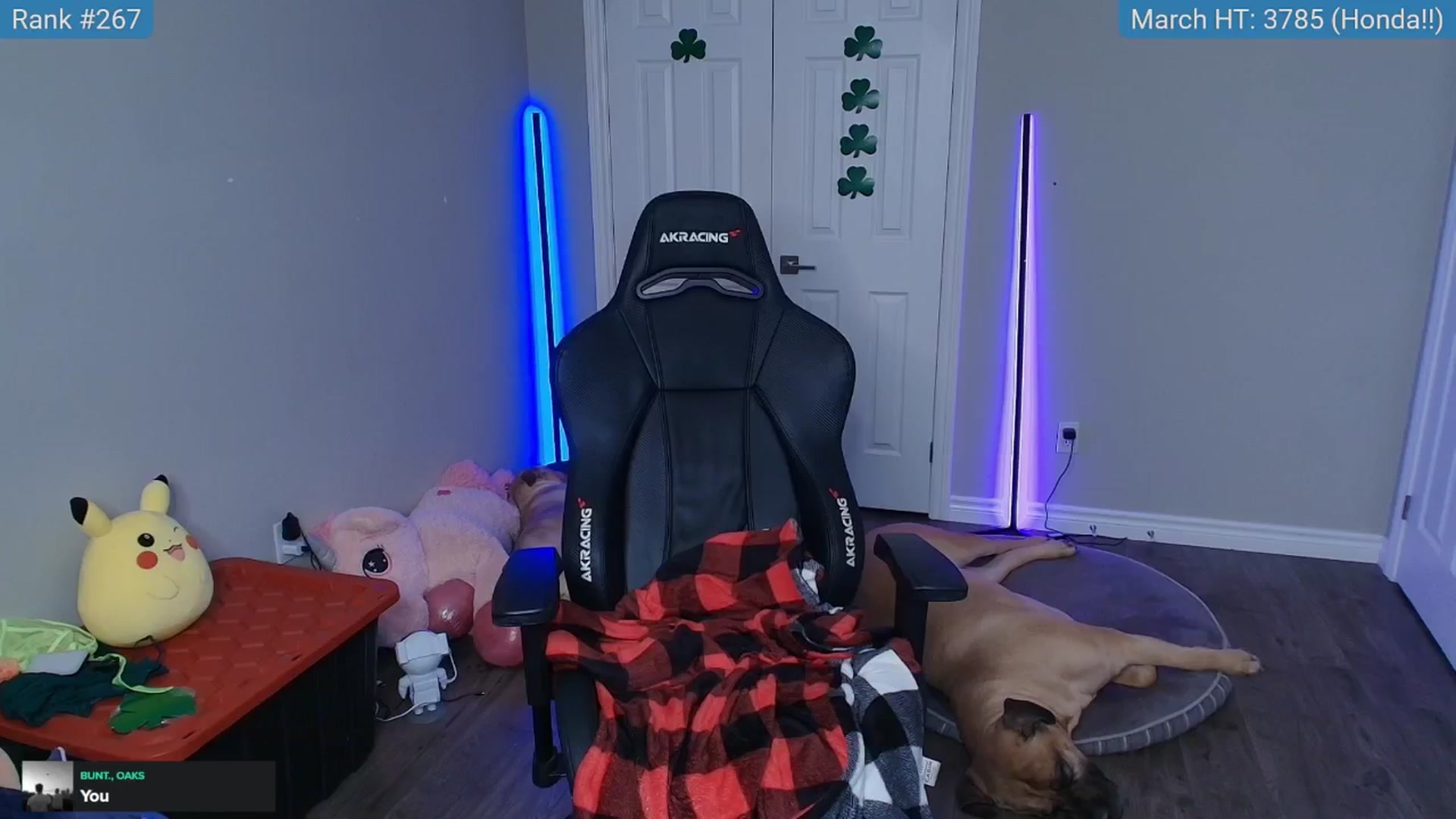 Gallery image thumbnail from HaileeCameron's myfreecams stream on, 03/09/2025, 10:14 image 14 of 20
